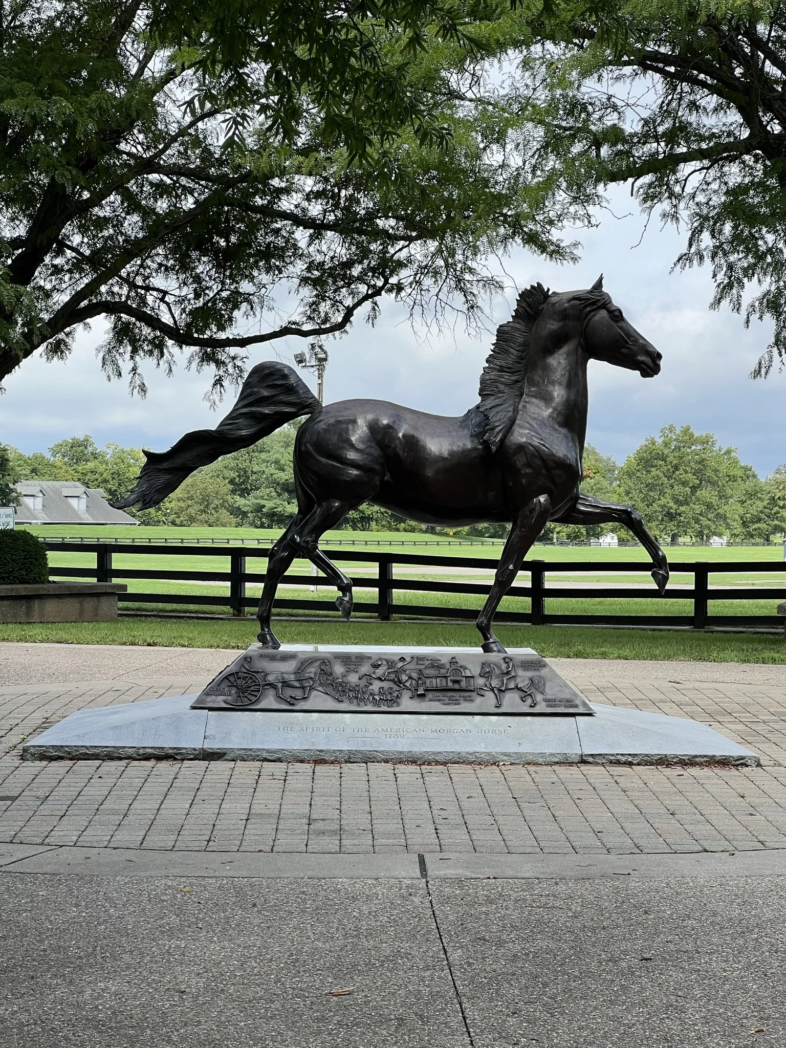Kentucky Horse Park