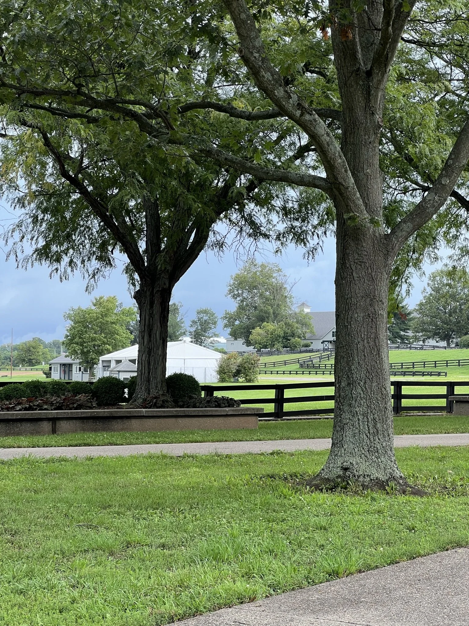 Kentucky Horse Park
