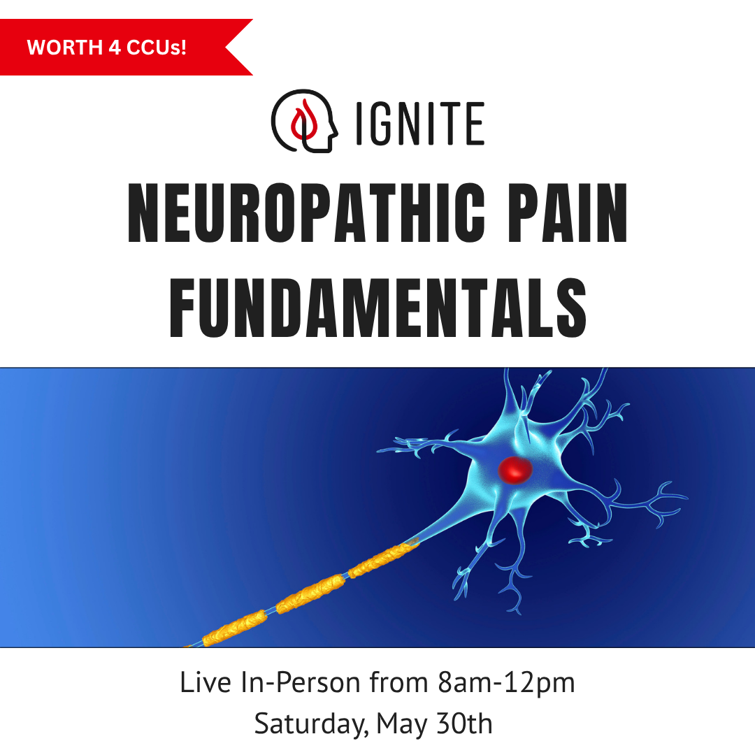 4 Hour Nerve Course (1).png