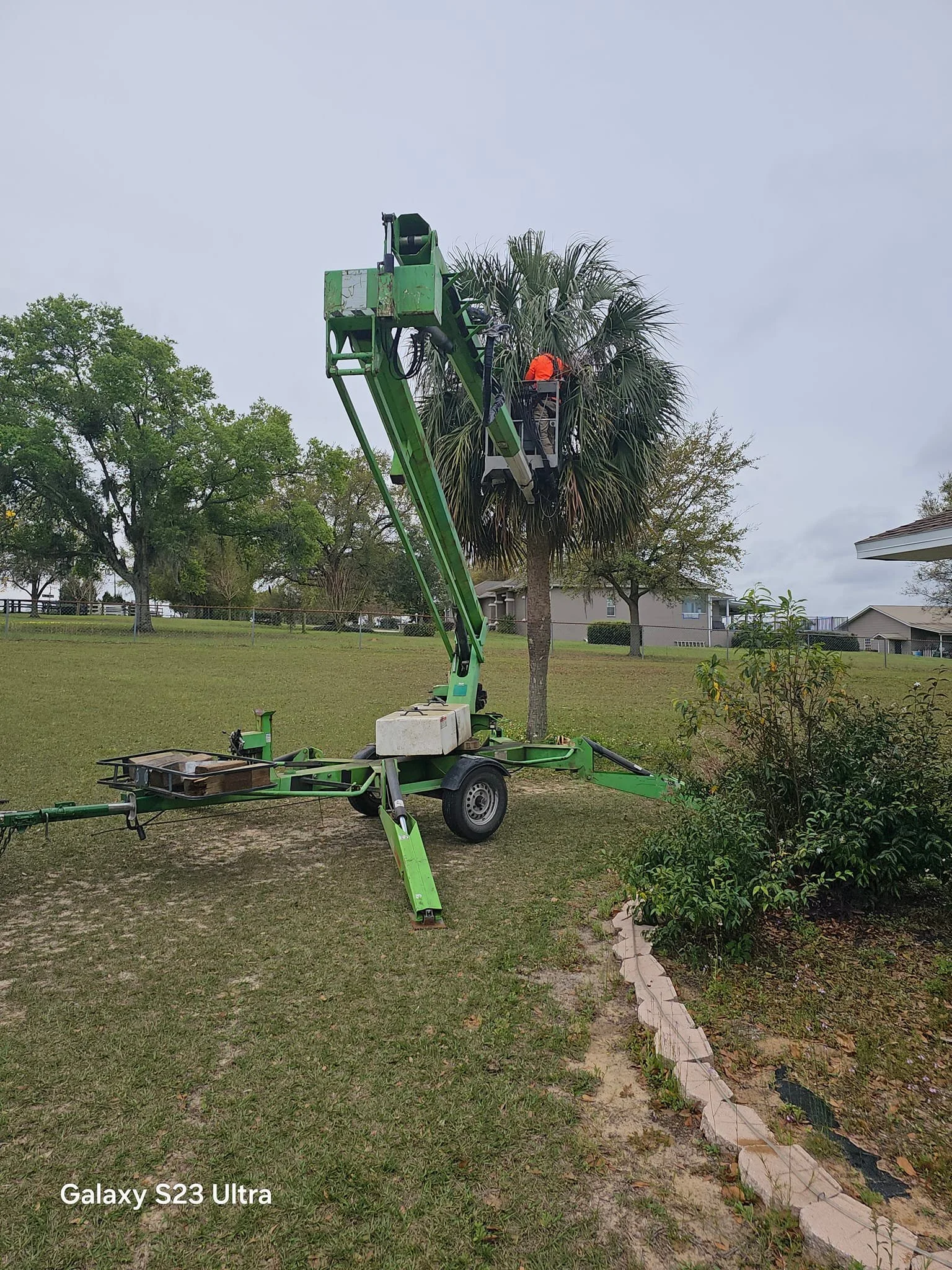 In need of help with trimming your palms?  Yard help? Reach out to Rocky Castro !! He Never Disapoints!! Thank you 🌴🎍🌿