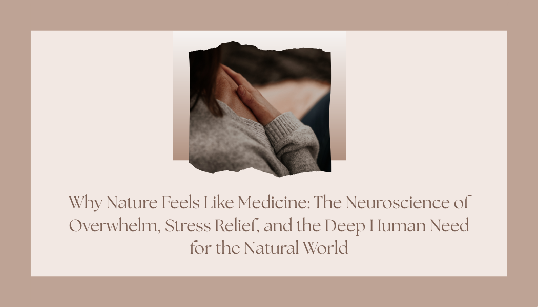 Why Nature Feels Like Medicine: The Neuroscience of Overwhelm, Stress Relief, and the Deep Human Need for the Natural World