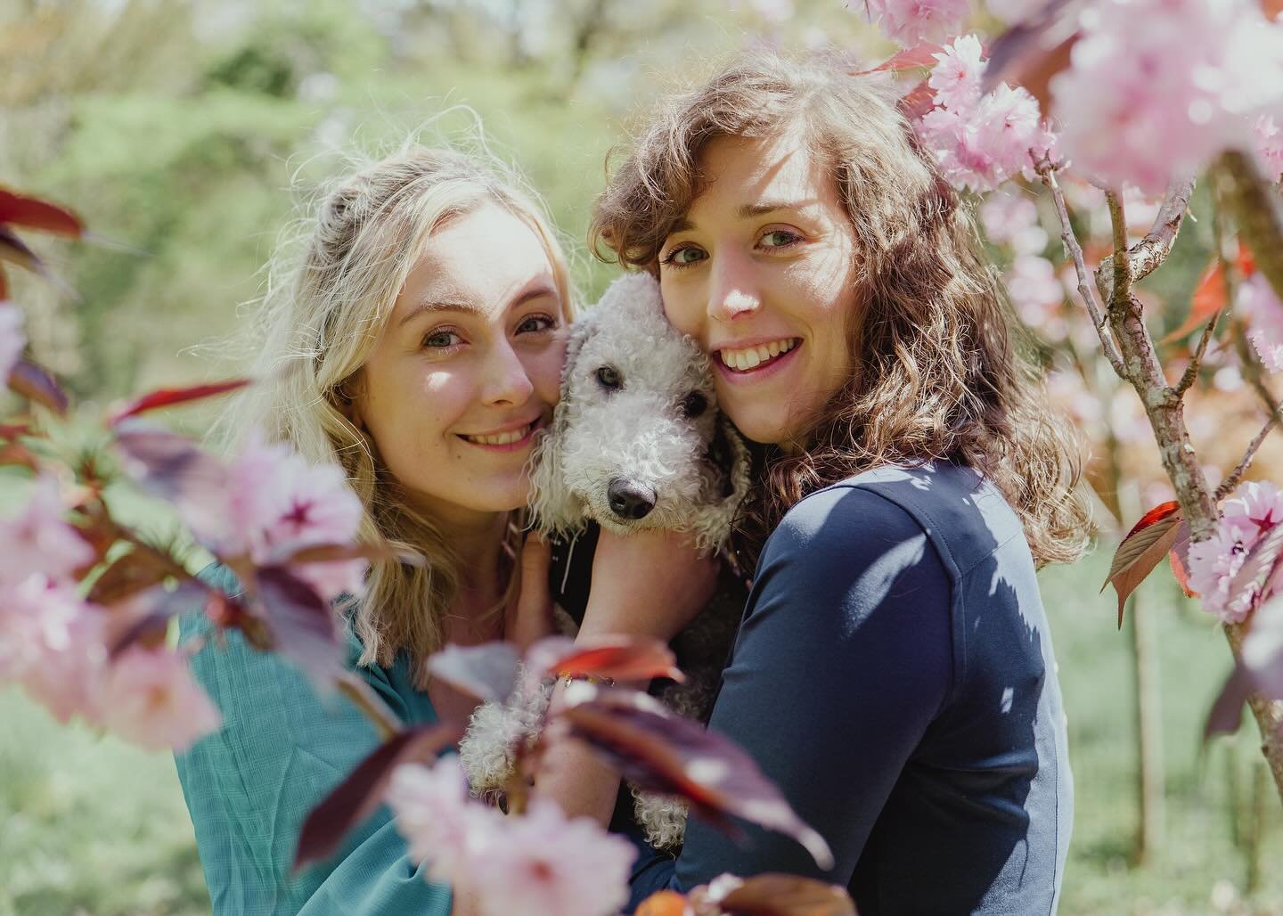 Poppy &amp; Georgie&rsquo;s engagement shoot, featuring Nelly🐶🌸🌿

We can&rsquo;t wait to capture their wedding this July 🌞

#engagement #engagementshoot #engagementphotography #wedding #weddingphotography #weddingphotographer #love #couple #weddi