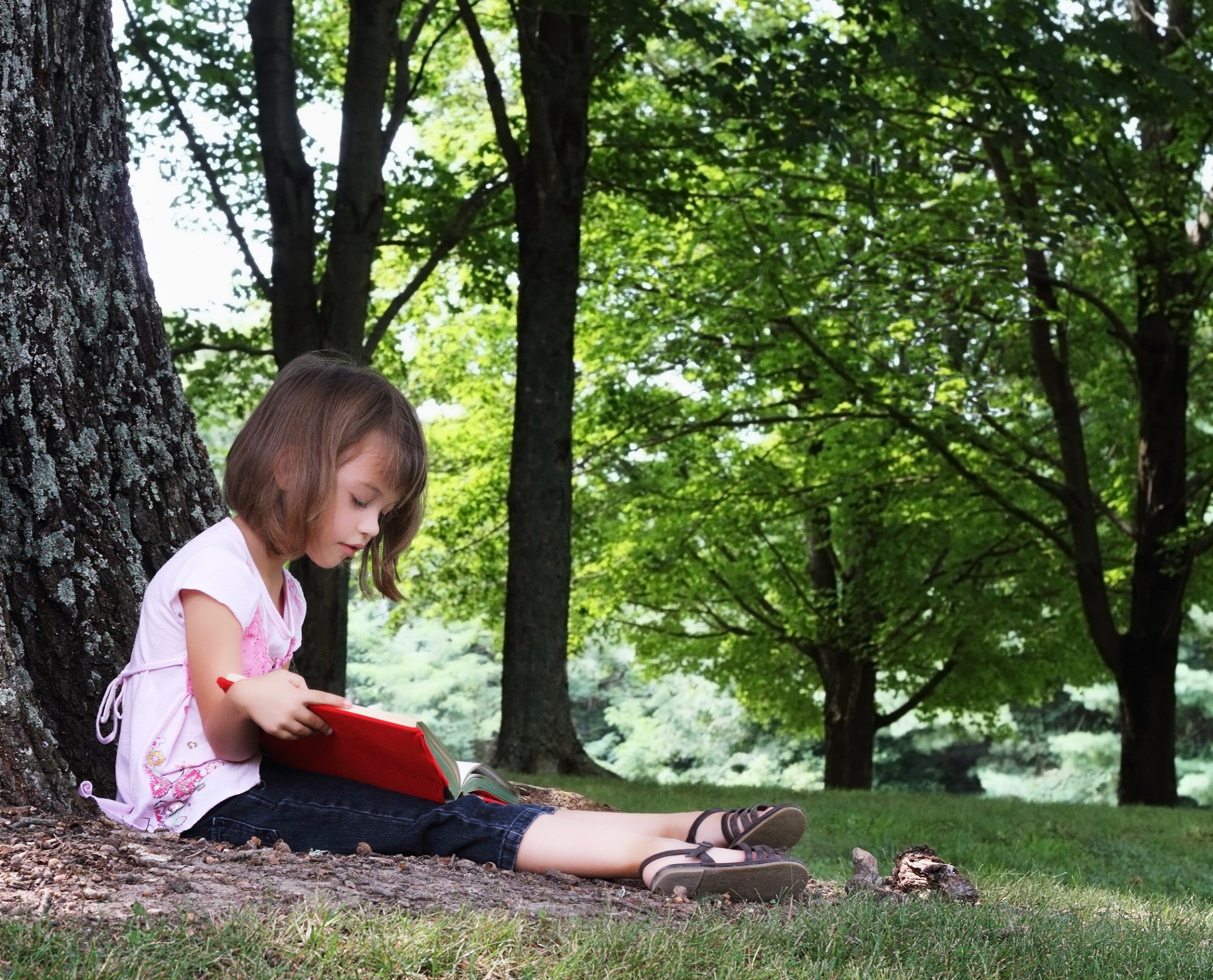 How Not to Lose Ground in Literacy Growth