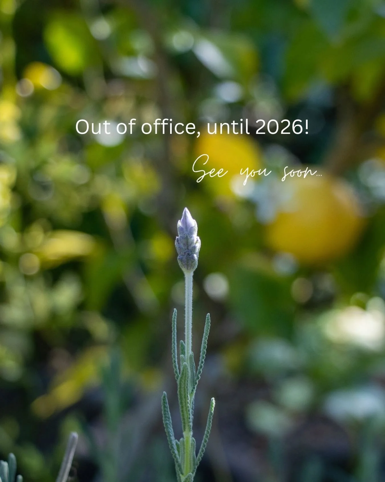 Out of office 🥹 until January-something 2026. ✨

Time for quality time with my little family, less screens, more trees&hellip; here&rsquo;s to playing games, reading books, and eating copious amounts of cheese! 

Wishing you a safe and happy Christm