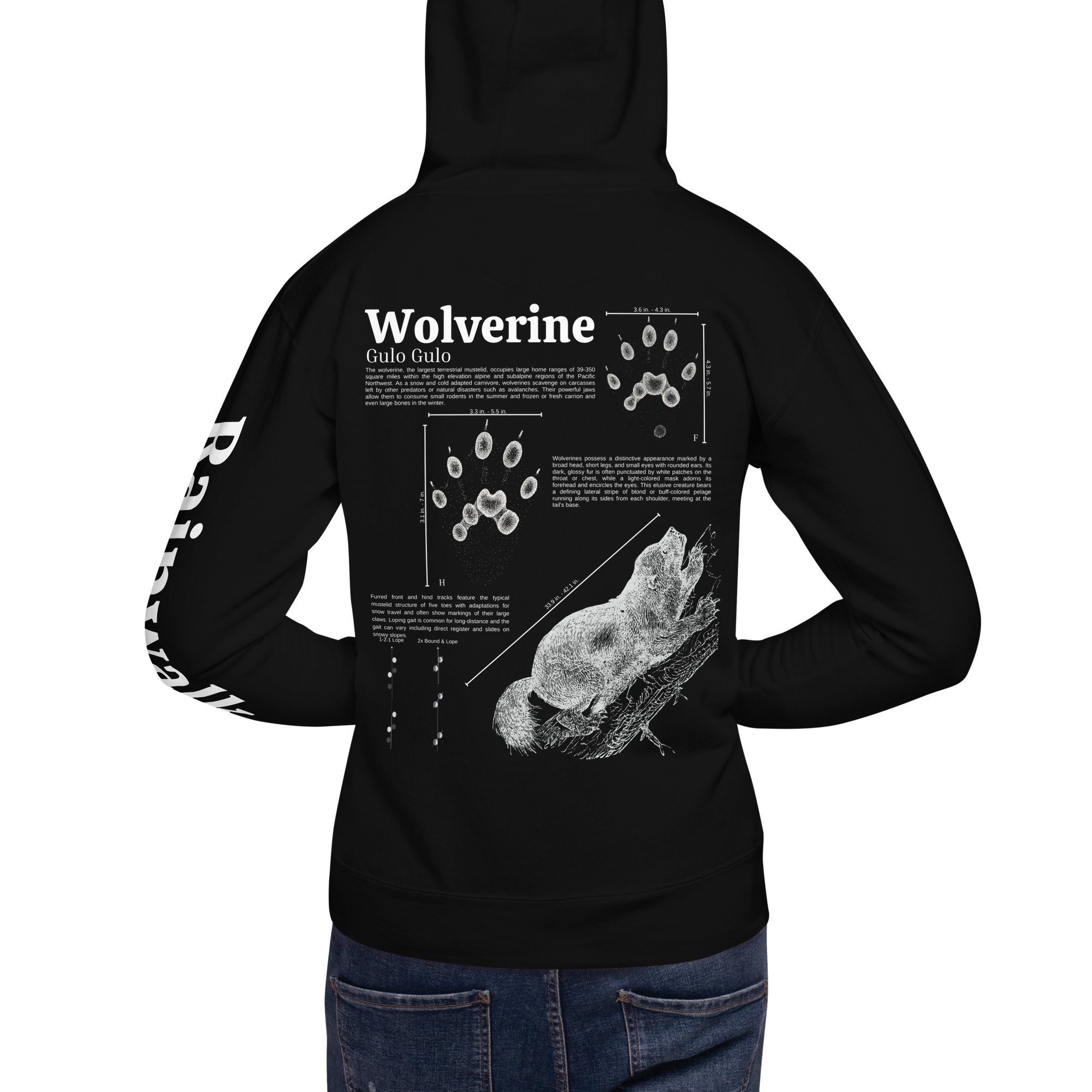 unisex-premium-hoodie-black-back-65592a517e16d.jpg