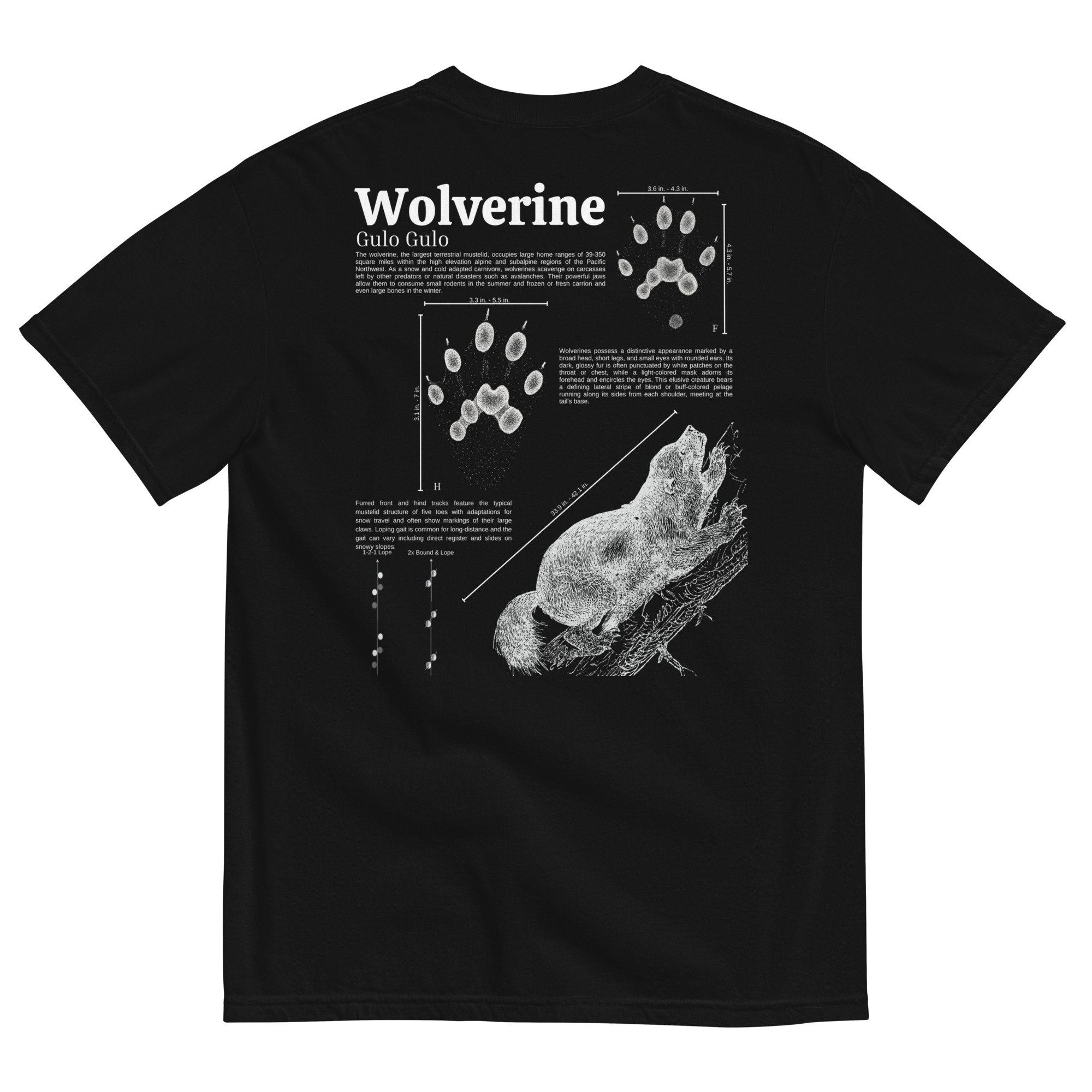 unisex-garment-dyed-heavyweight-t-shirt-black-back-655e831900557.jpg