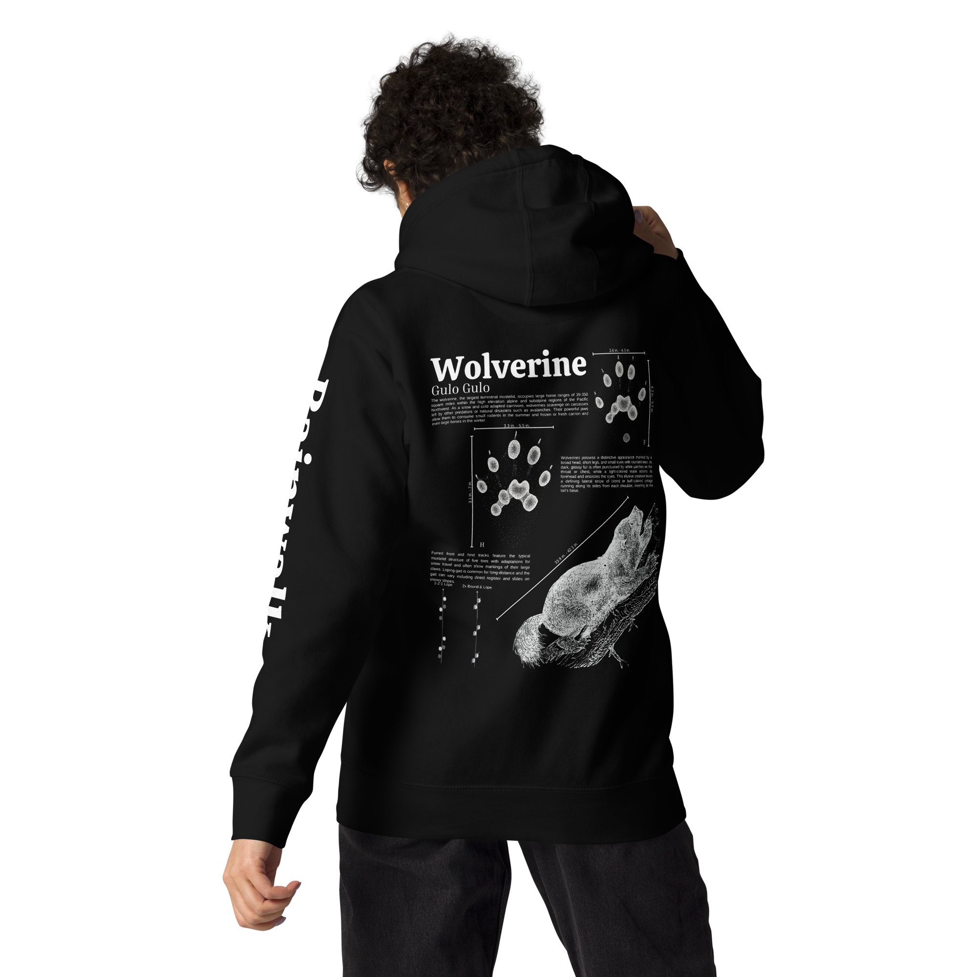 unisex-premium-hoodie-black-back-655e837c5e637.jpg