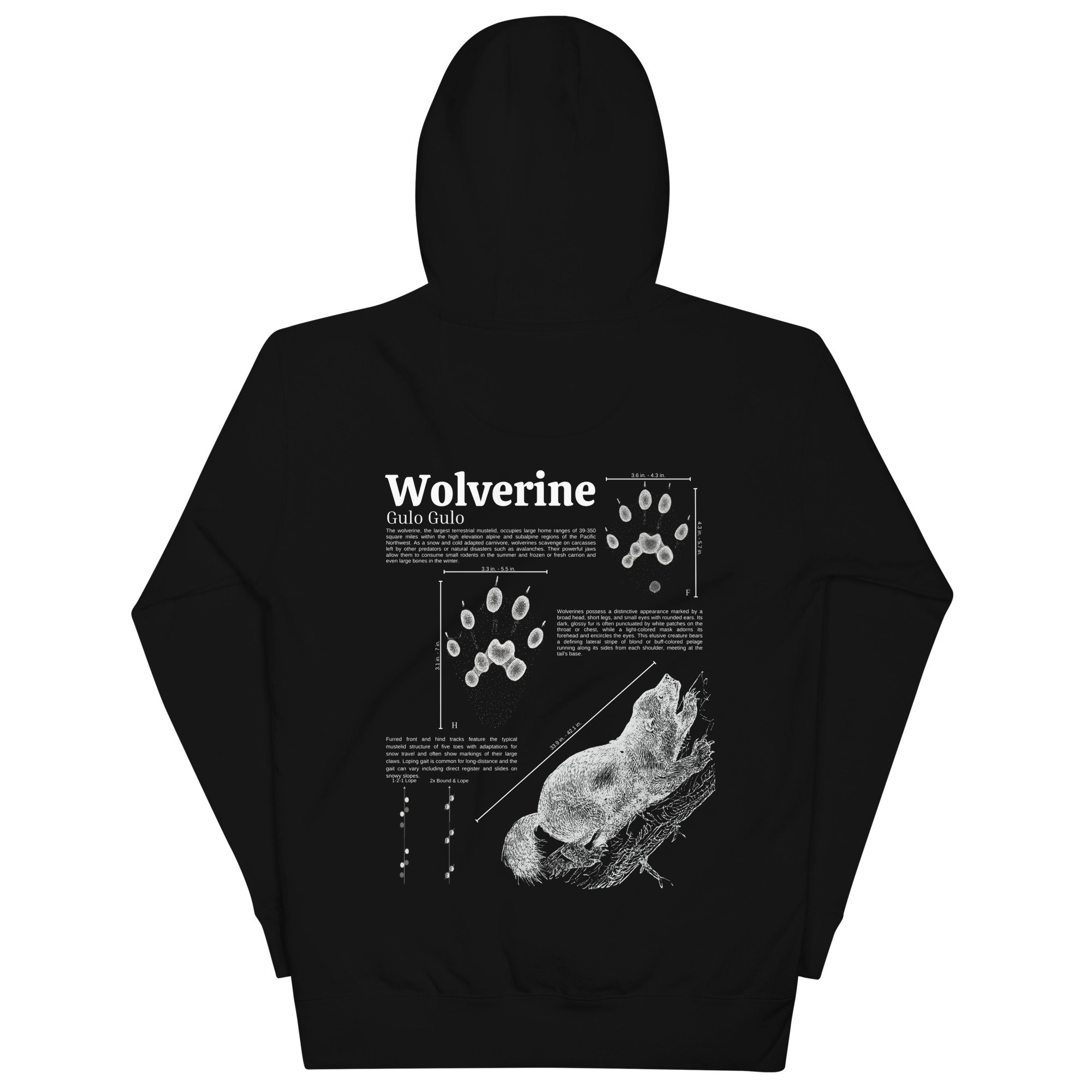 unisex-premium-hoodie-black-back-655e837c60493.jpg