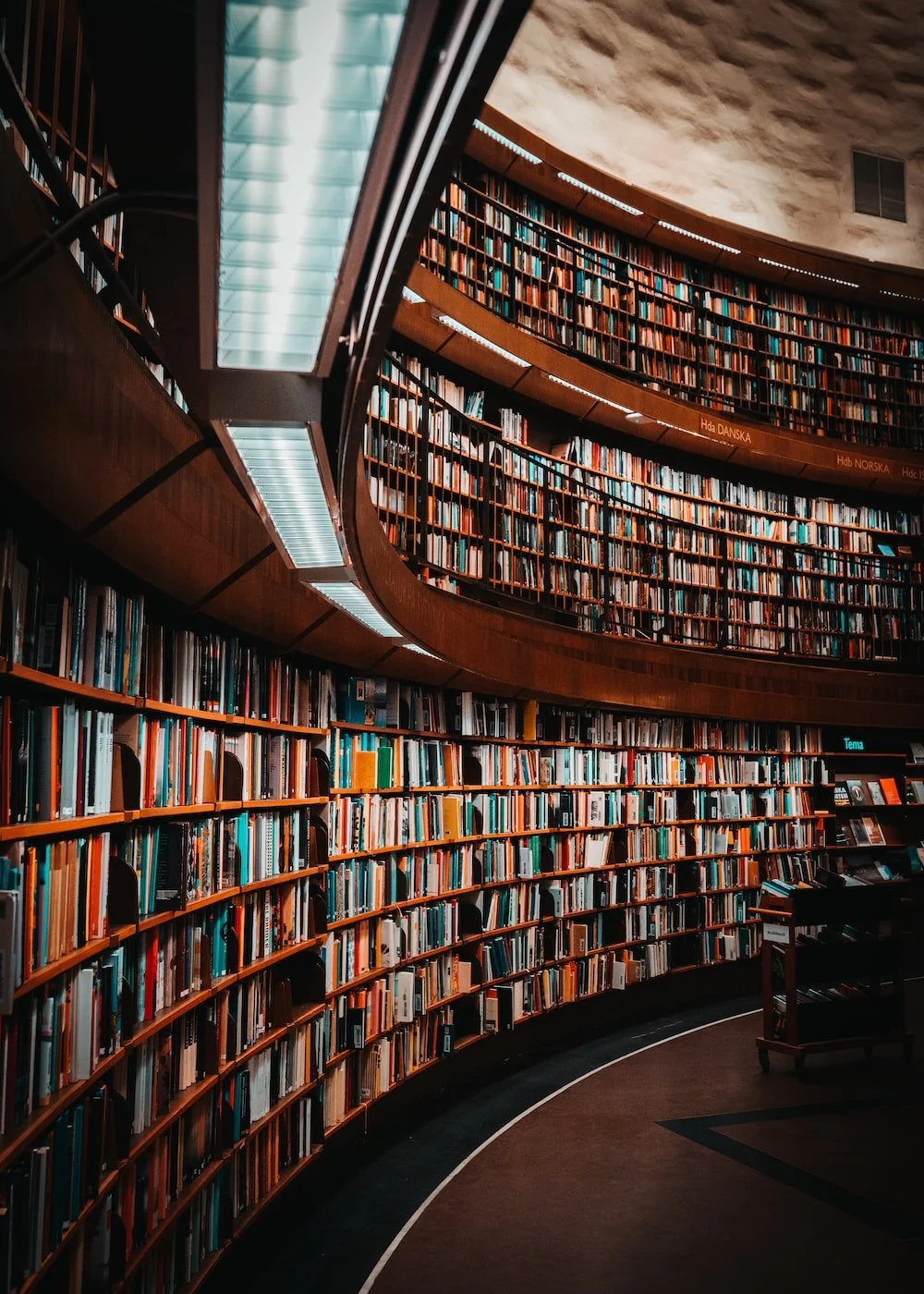 Image of a library with a curve in the wall and books lining every shelf. Rectangle lights hang from the ceiling.