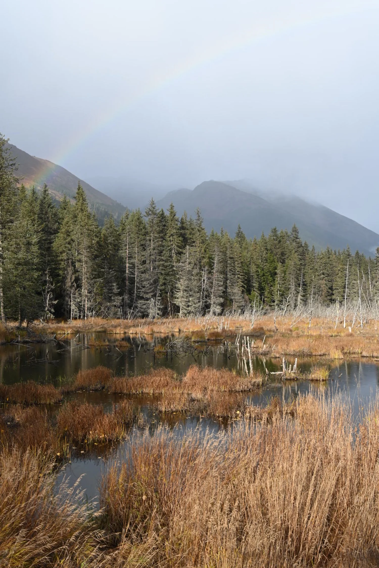 Committee Agrees to Plat Land in Lower Girdwood Considered for Housing Development