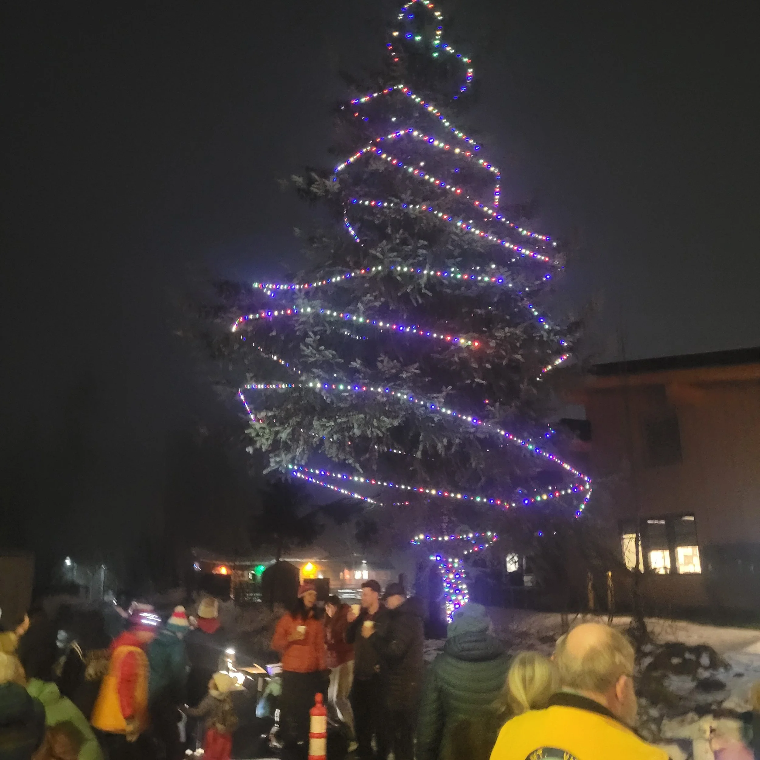 YES GIRDWOOD, THERE IS A CHRISTMAS TREE