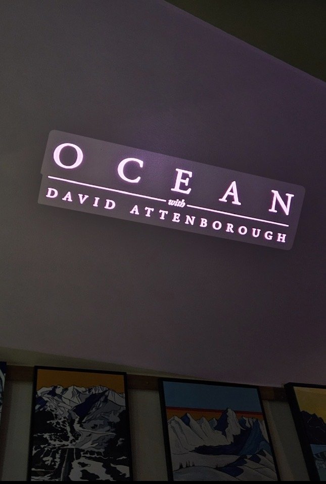 David Attenborough’s ‘Ocean’ comes to the shore of Turnagain Arm