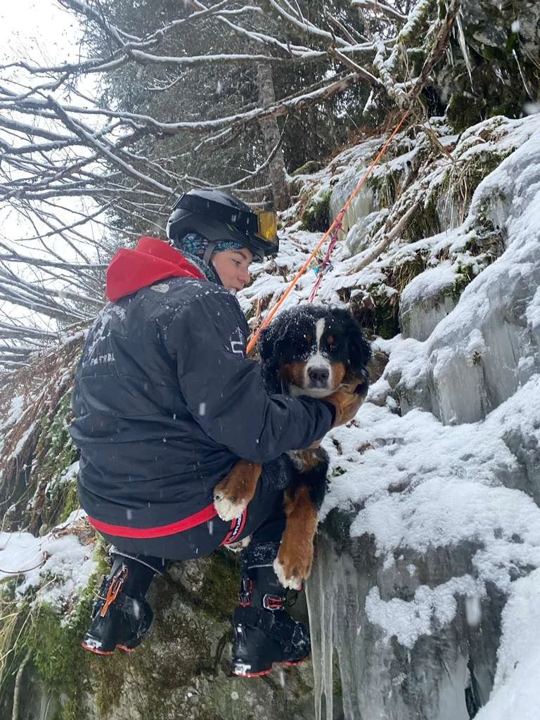 A New Year's Tale With A Tail-Wagging Ending