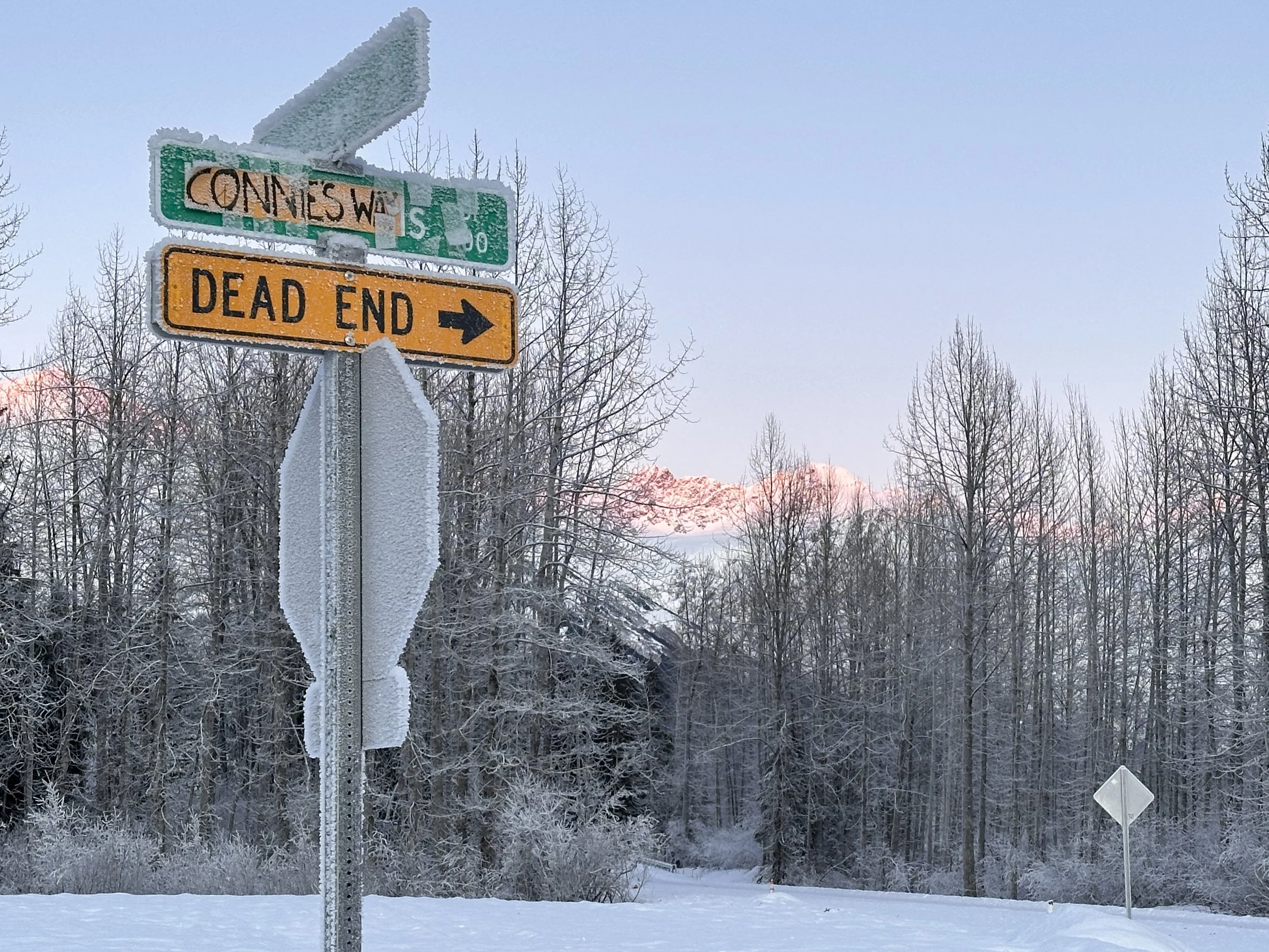 In Final Hearing, Anchorage Commission Rejects Girdwood's Housing Concerns On ‘Holtan Hills’