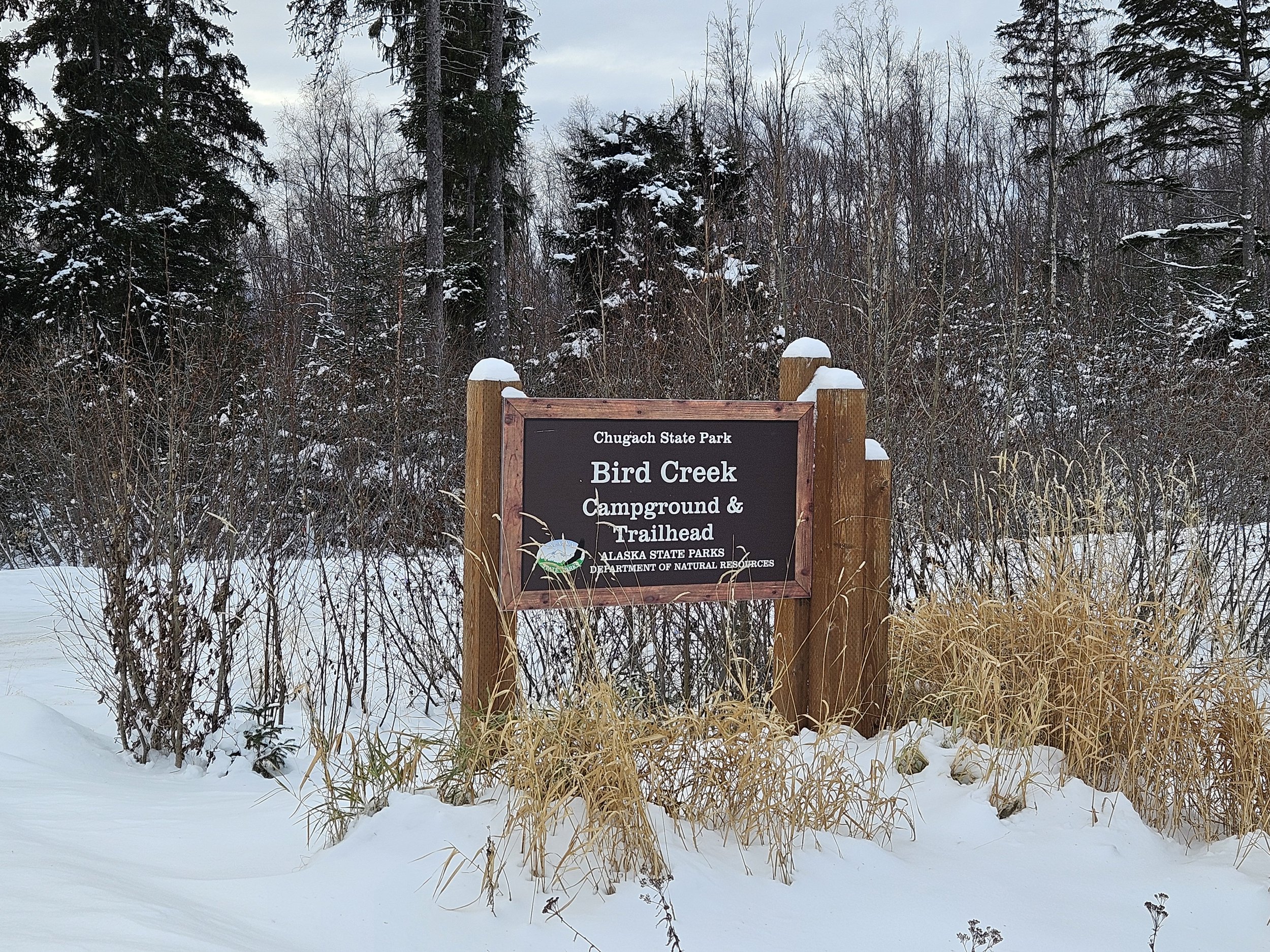 Improvements planned for Bird Creek Campground