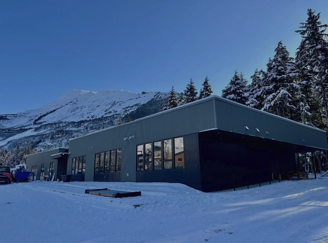 A Community Collaboration – Gratitude Tree Donation Wall Mosaic for New Little Bears Playhouse