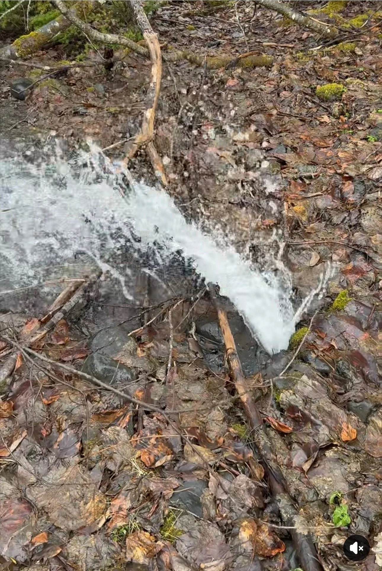 Water Spews from Underground Pipe Between School and New Road
