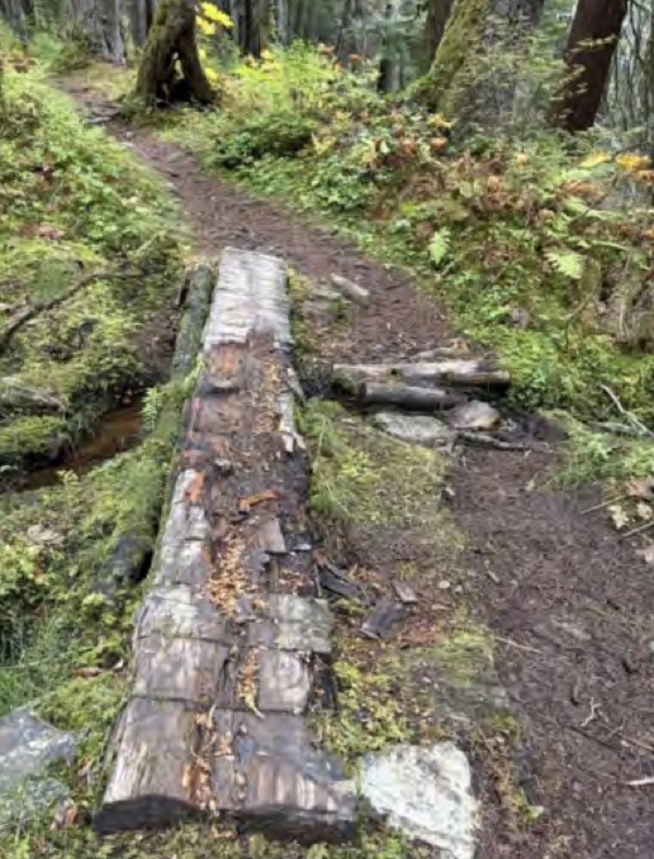 Beaver Pond Trail Eyed for Upgrades