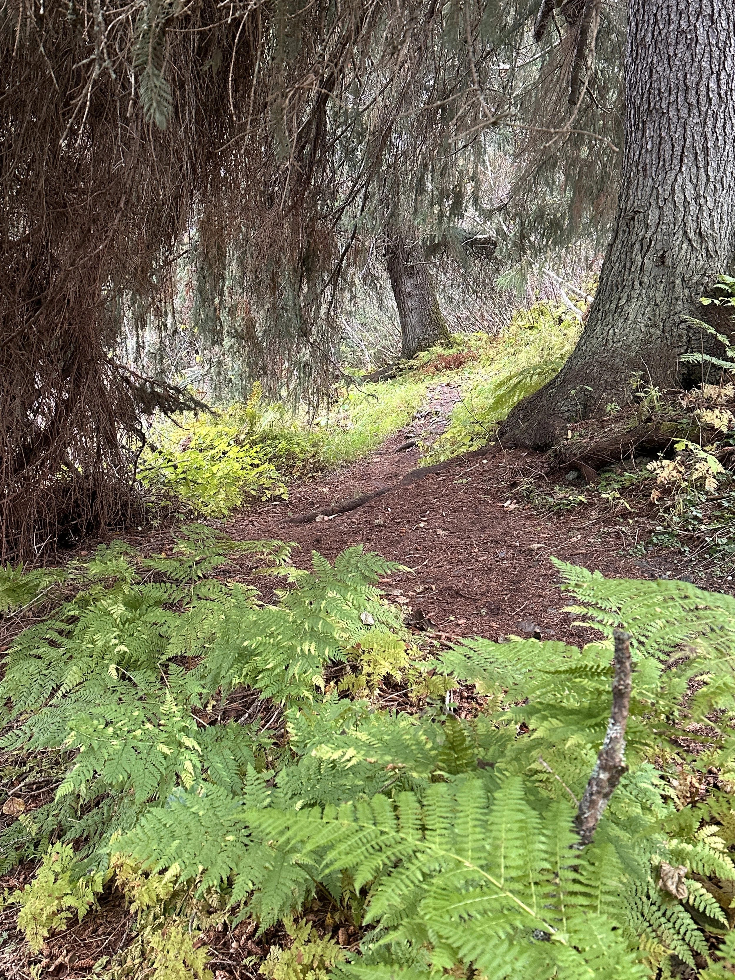 Beaver Pond Trail Eyed for Upgrades