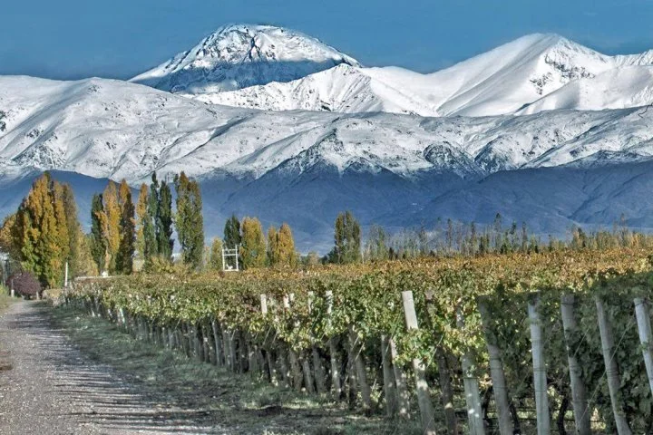 Deep Dive: Wine Regions of Mendoza Argentina