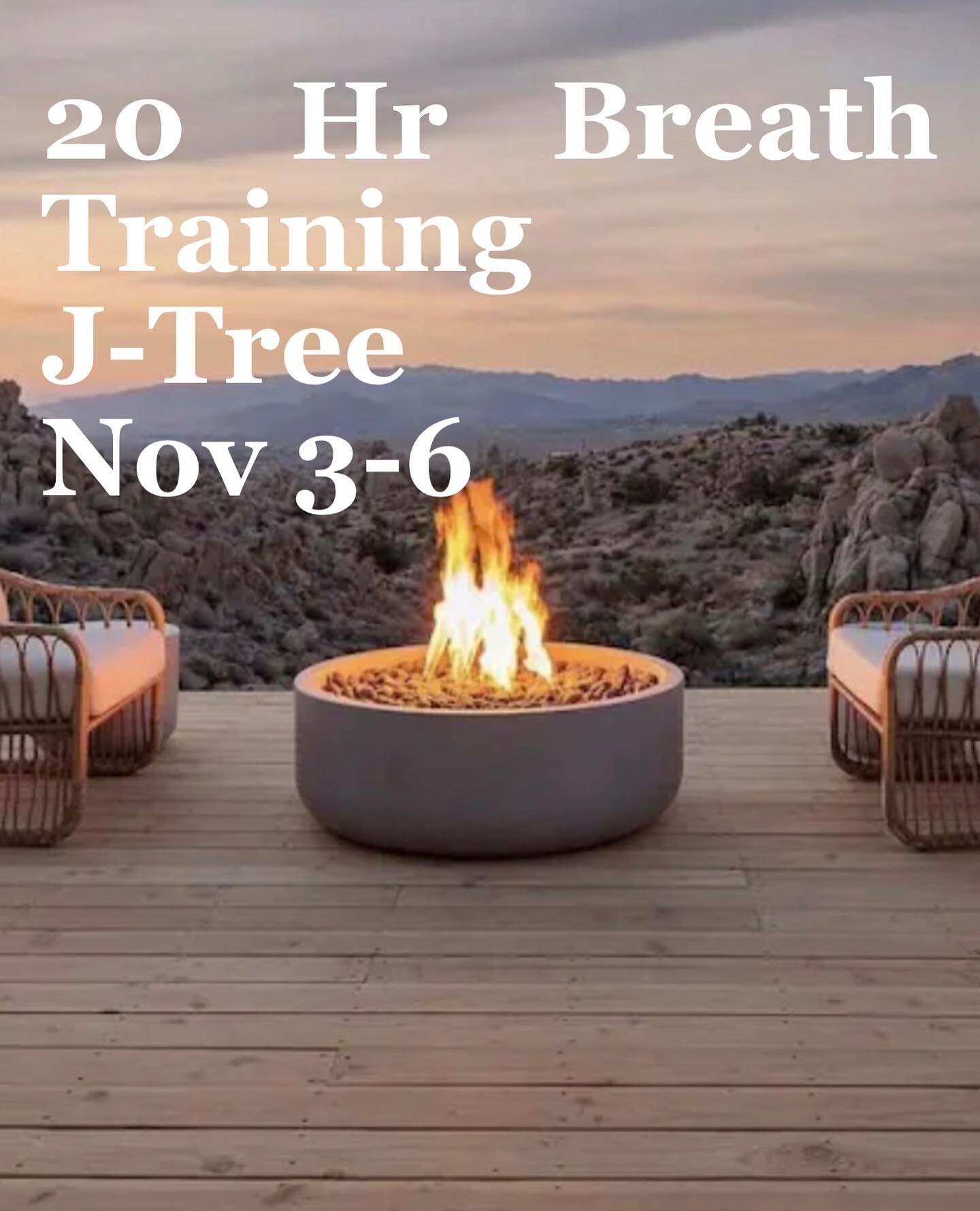 Redefining The Breath IRL
It's time to take this show on the road. I hope you'll join me in the desert November 3-6 for a 20 hour breath training. The location is unbeatable. The food will be delicious and nutritious. And I promise you will walk away