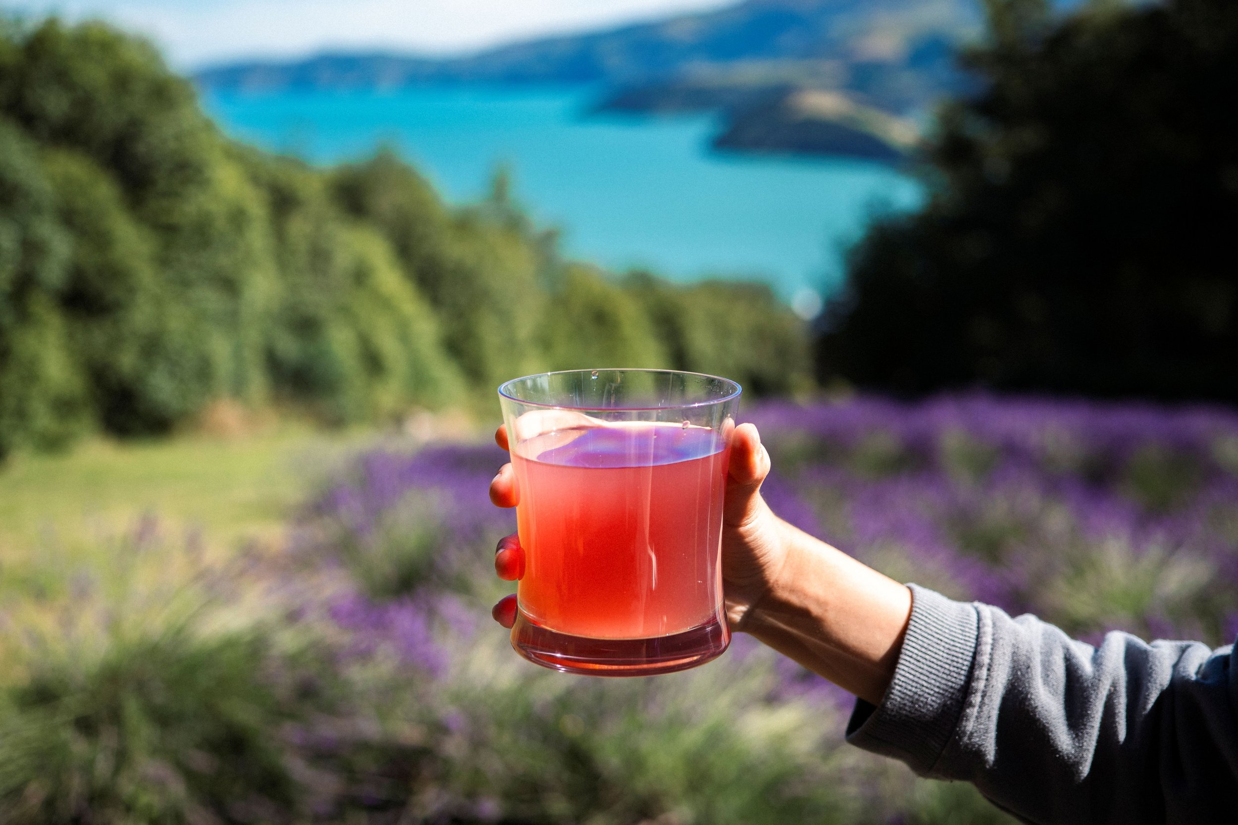 Toasting the end of Winter…