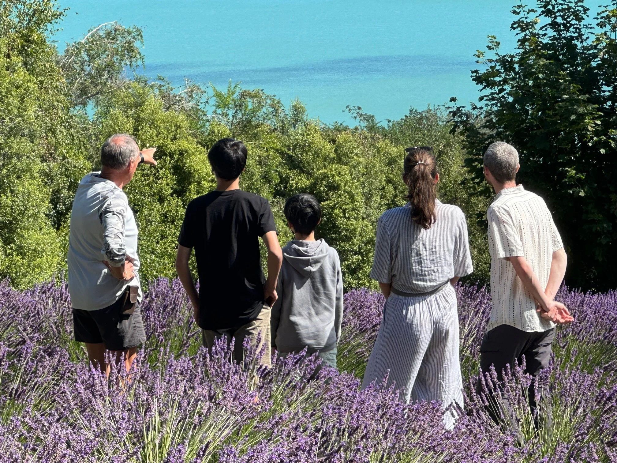 Arataki conservation.jpeg