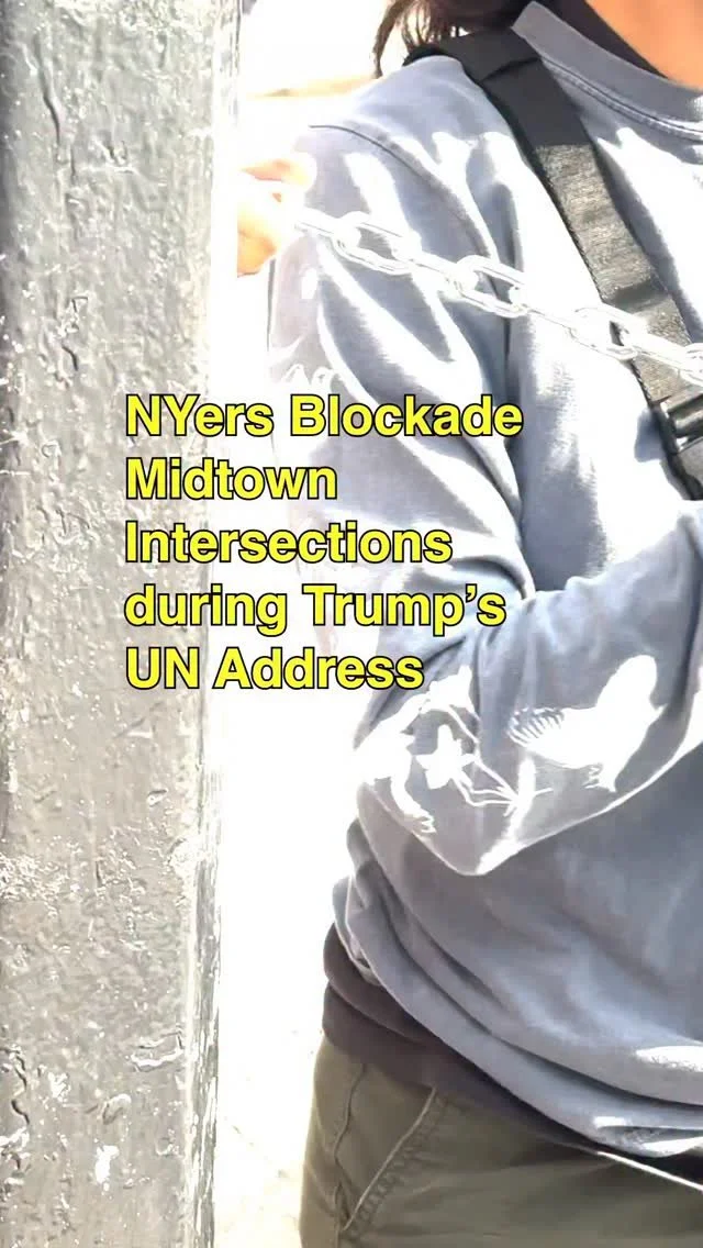 Slide 8