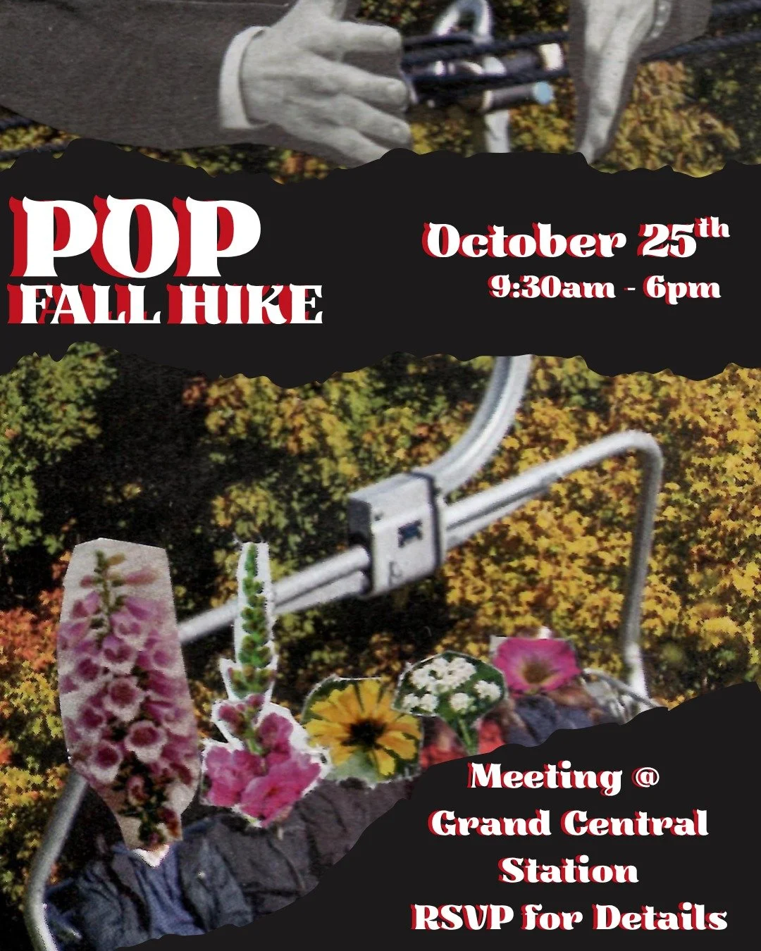 Come marvel at mushrooms 🍄, fondle ferns 🌿 and get your Halloween vibes on with us on our tree-mendous HALLOWEEN HIKE on October 25 near Sleepy Hollow! 🍃Leaf your worries behind and step into fall!!🍂

Details in bio!!
