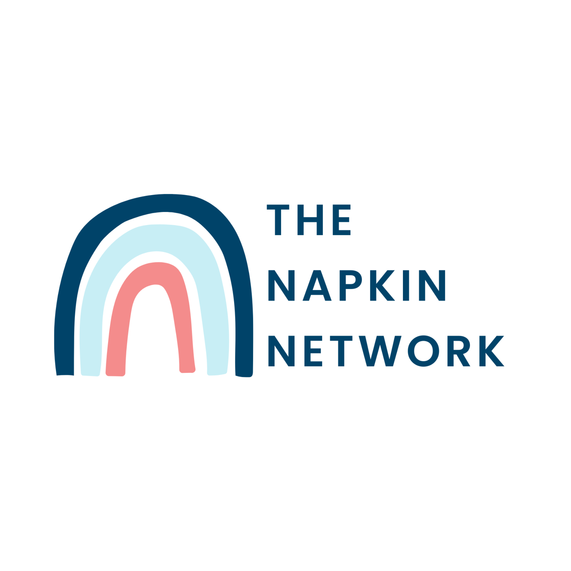 Logo of The Napkin Network with a stylized rainbow in pink, light blue, and dark blue next to the text.