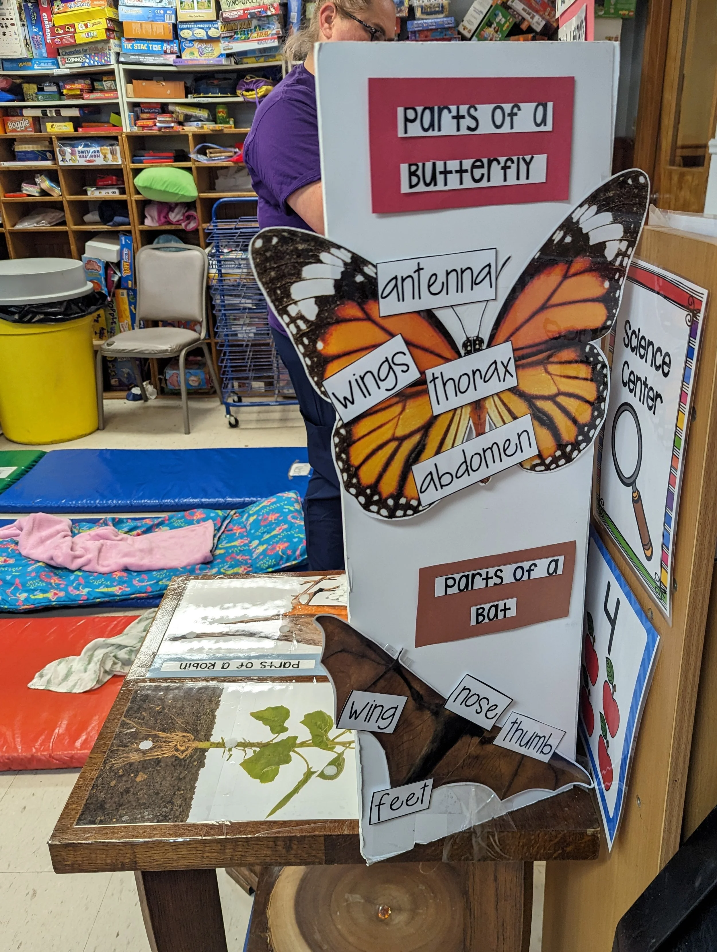 Educational display about parts of a butterfly and a bat at a science center.