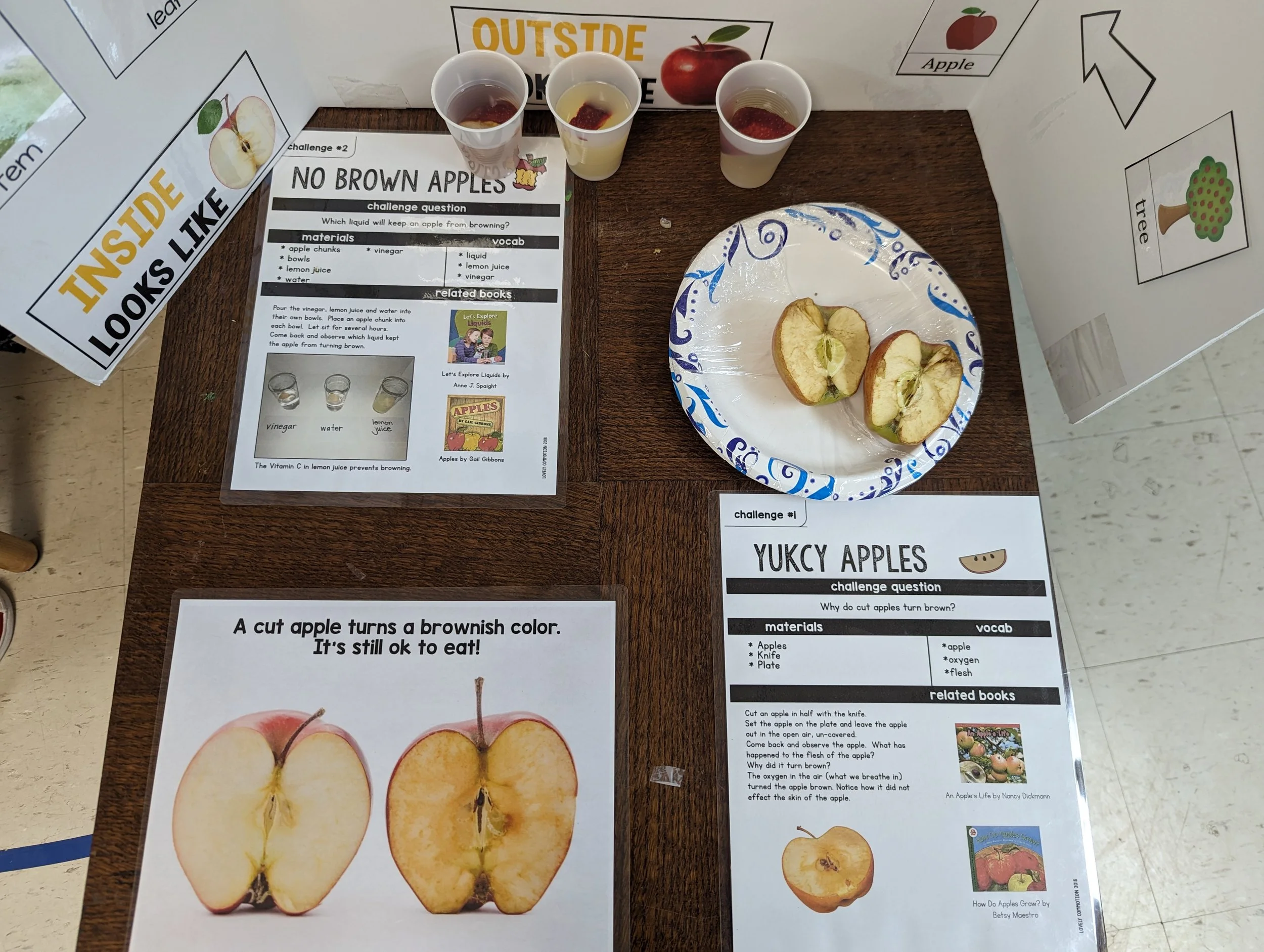 Educational display about apples, including sliced apples, informational sheets, and small cups of liquid samples.