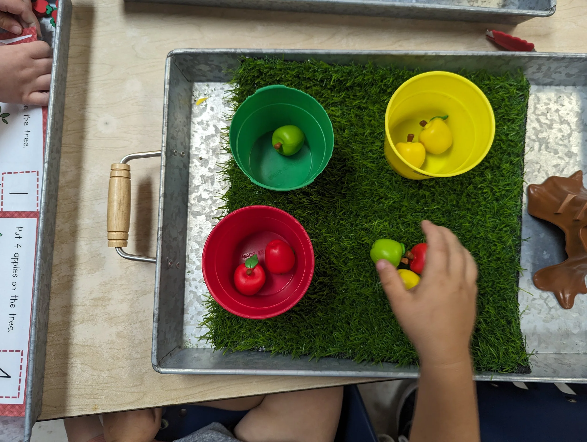 A child sorting small apple figures into buckets of the same color.