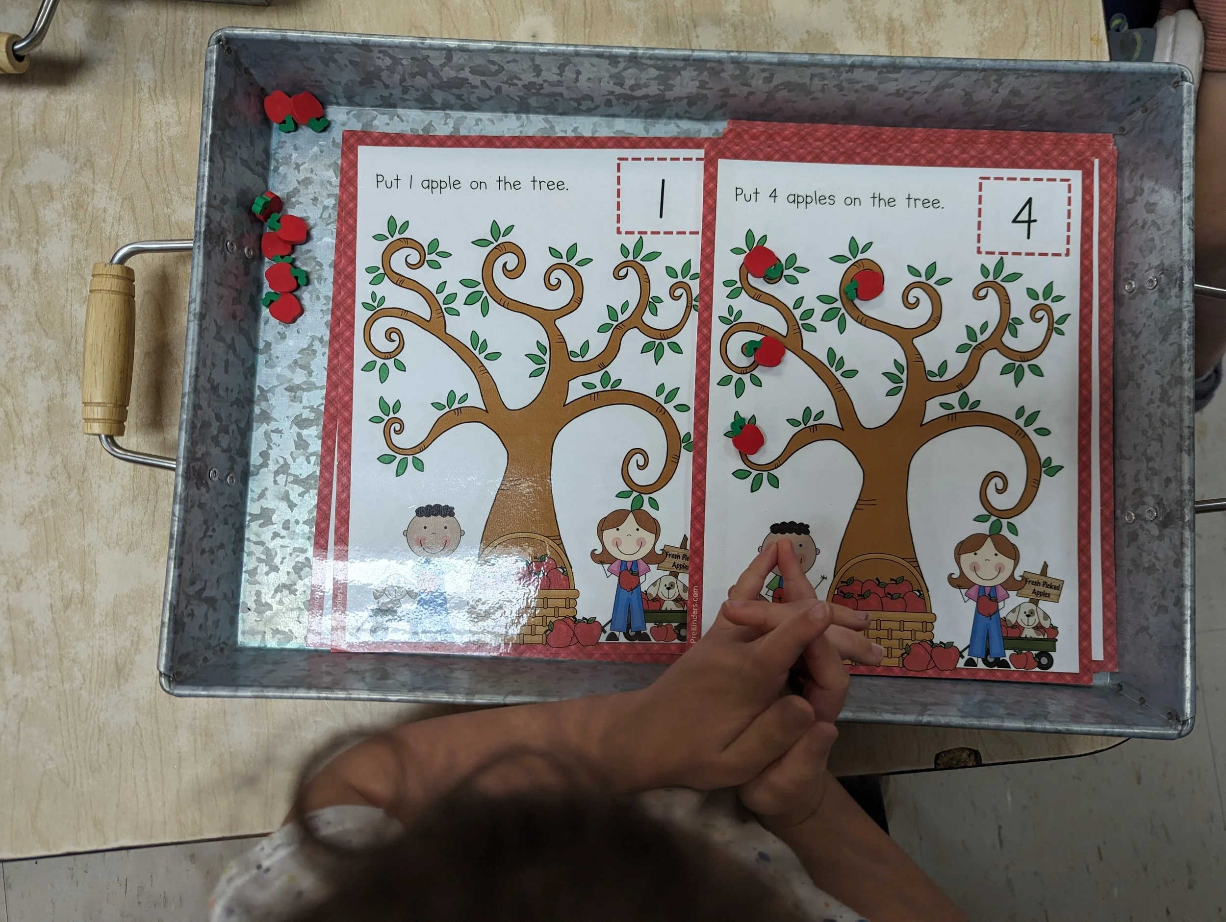 A child is playing a counting game with apples on a tree.