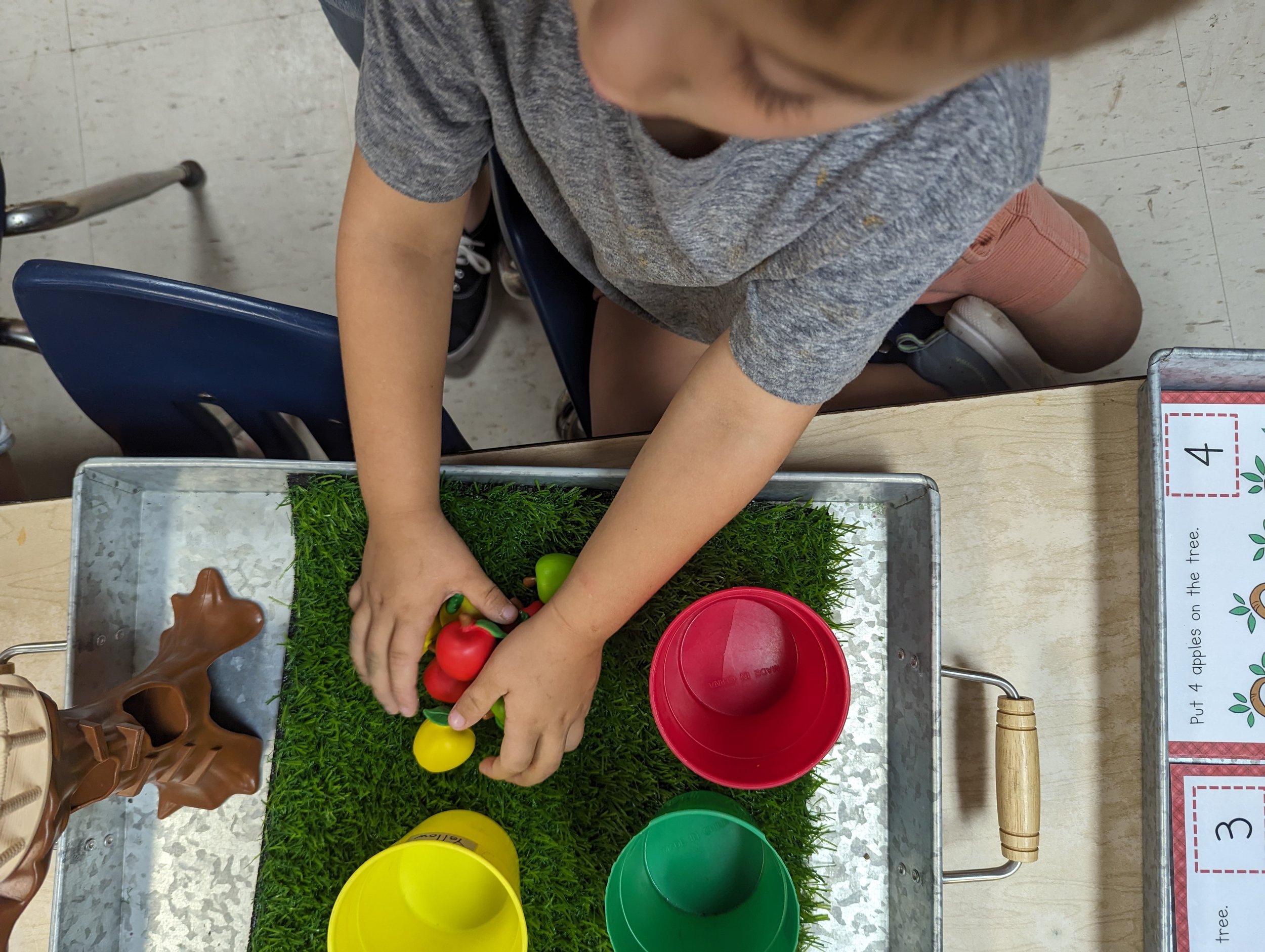 A child sorting small apple figures into buckets of the same color.