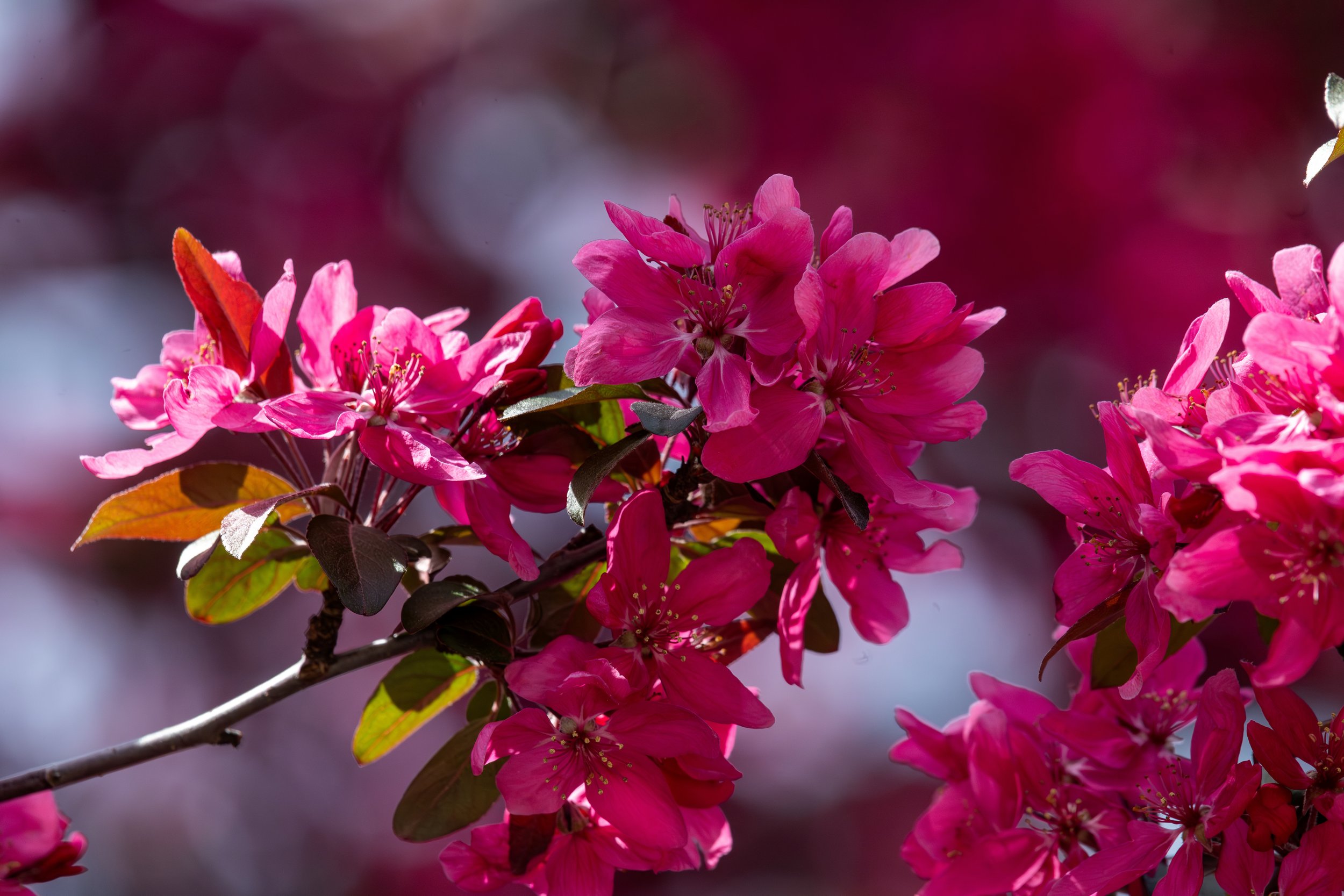 JEY_3037-Enhanced-NR resize.jpg