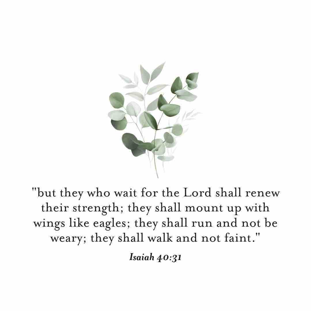 &ldquo;but they who wait for the Lord shall renew their strength; they shall mount up with wings like eagles; they shall run and not be weary; they shall walk and not faint.&rdquo; (Isaiah 40:31) 

#VerseOfTheDay #Strength