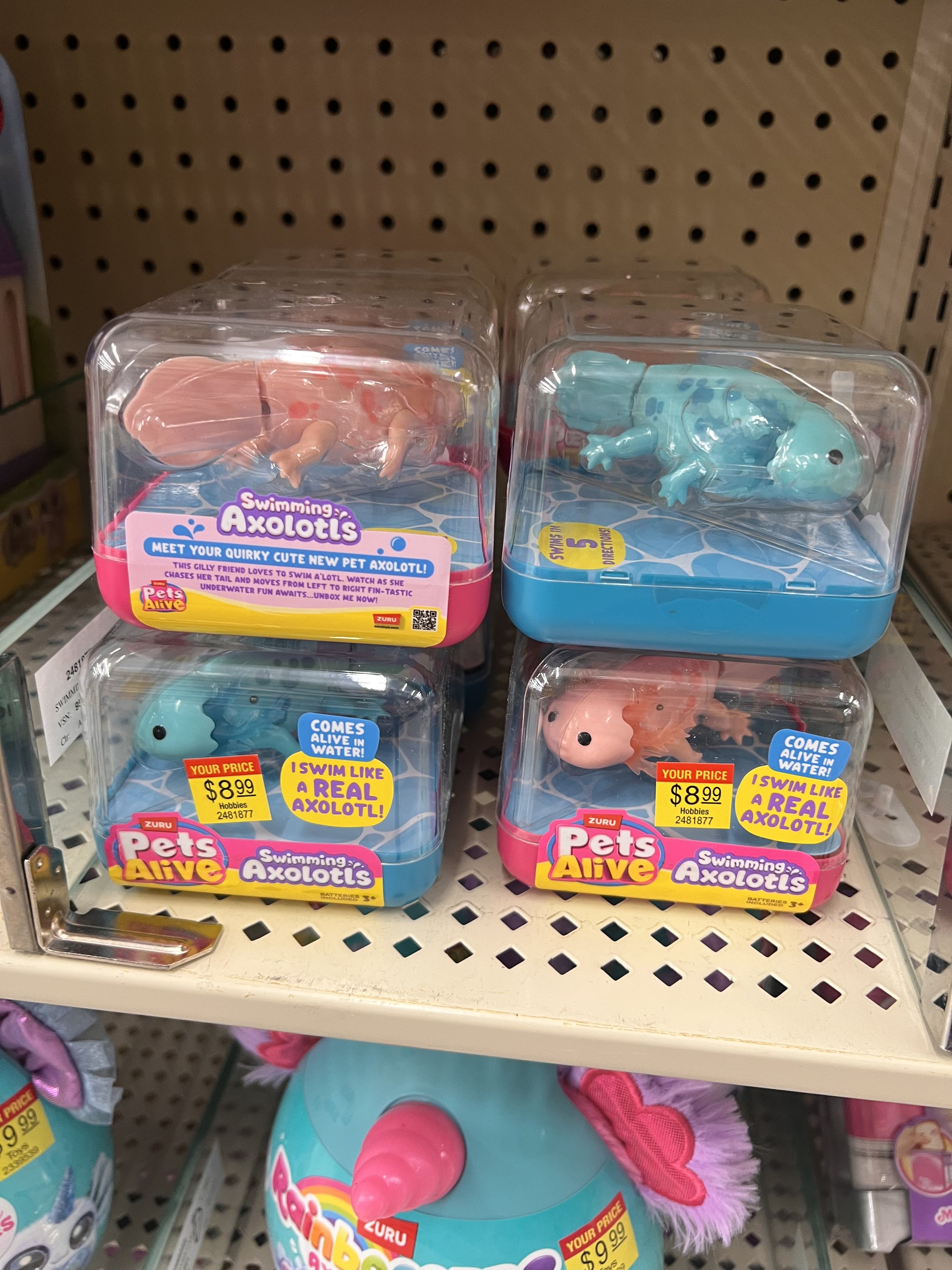 IMG_0385.jpeg