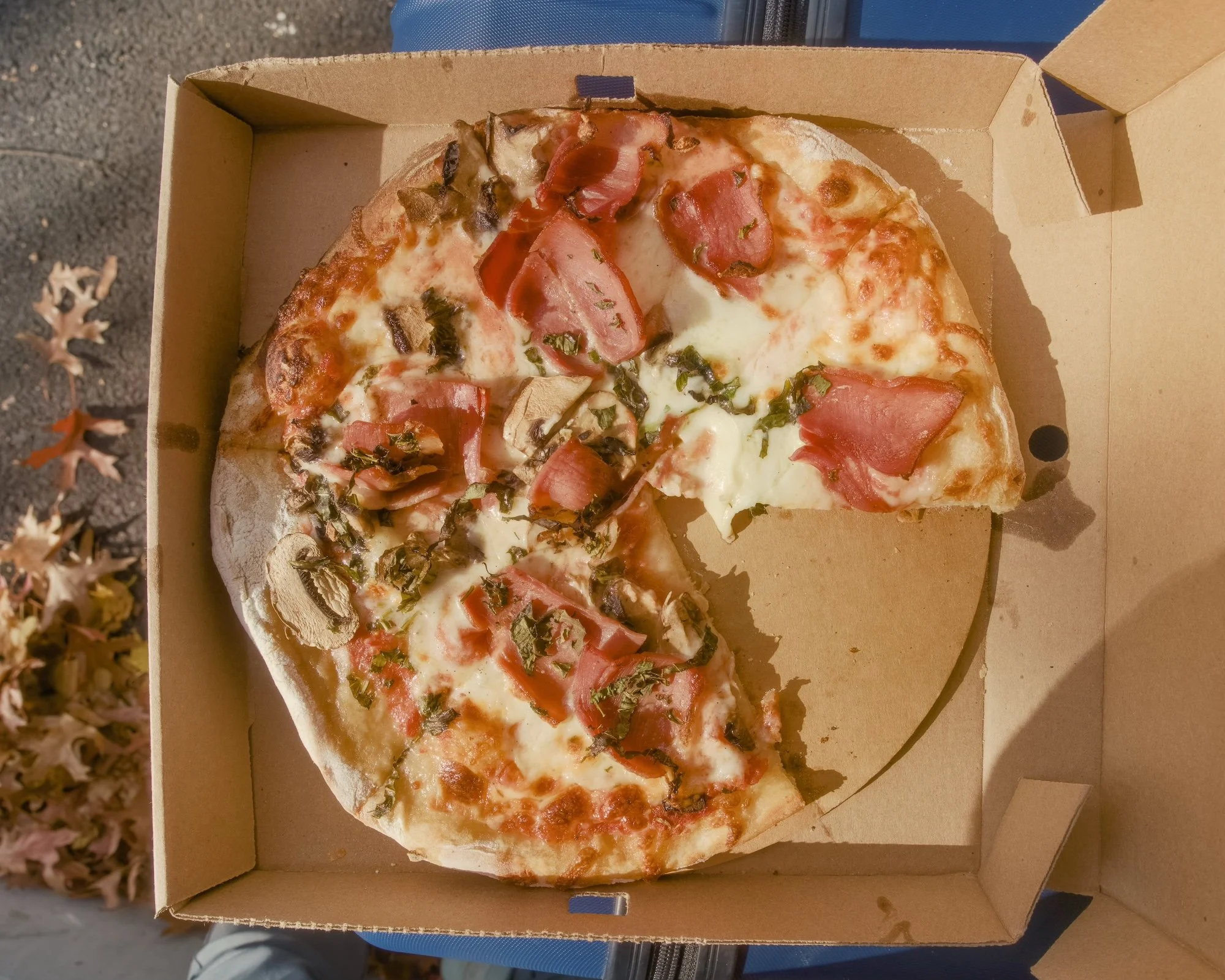 Introspection in the North End