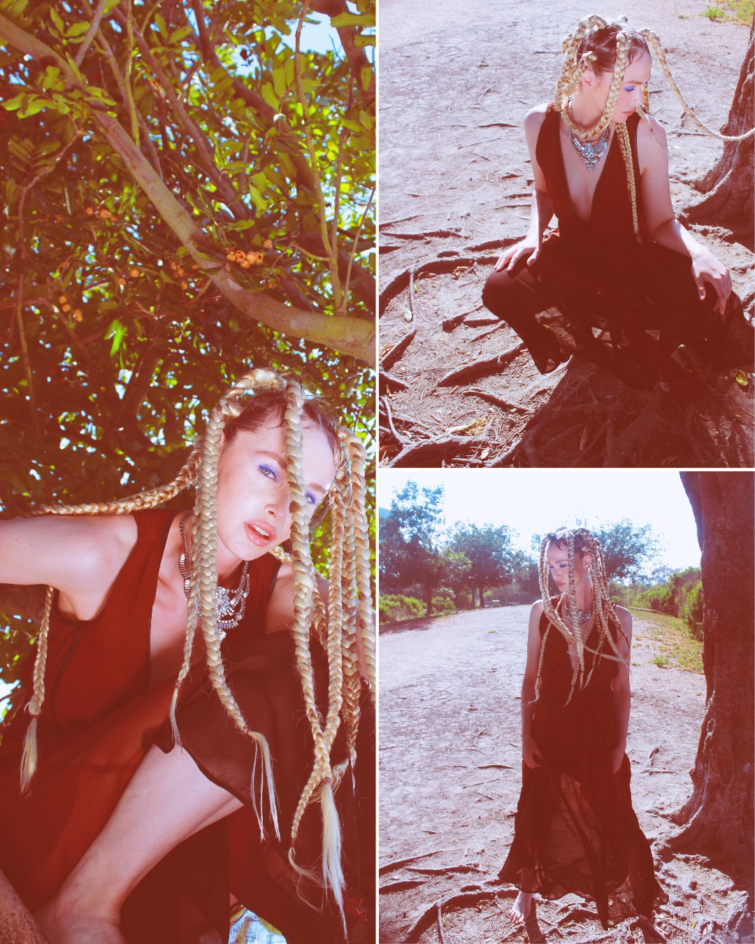 brown tree vintage.jpg