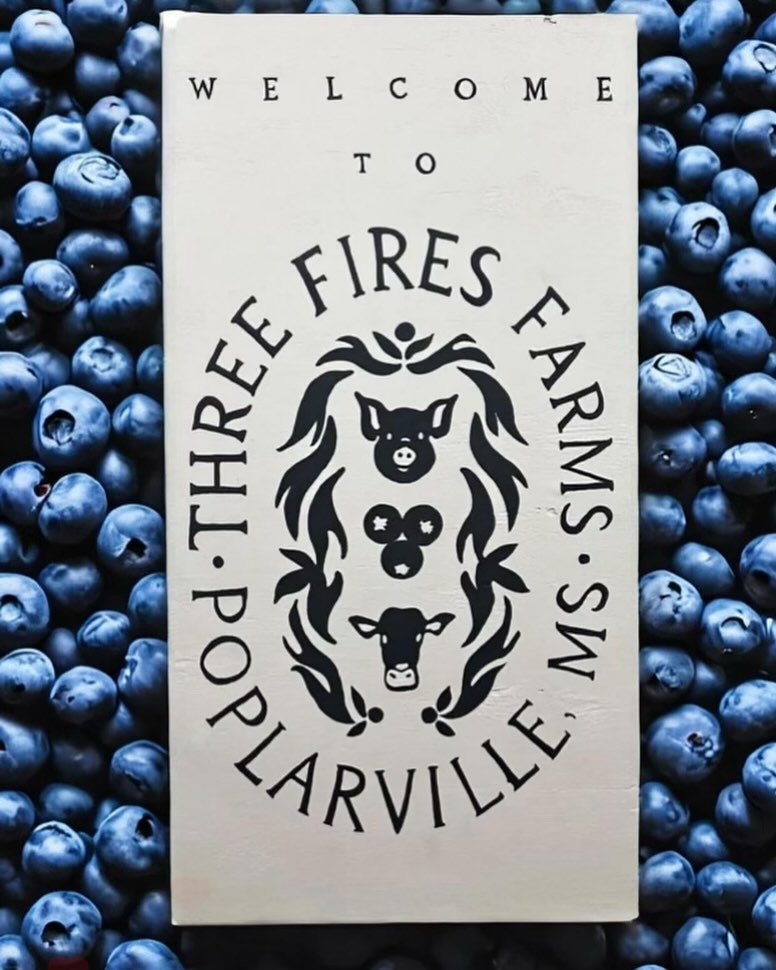 ALL YOU CAN PICK BLUEBERRIES
FOOD @openfireco  @hankhankhankhank 
MUSIC @thehotbiscuitsmusic 
DAY ON THE FARM 🌞