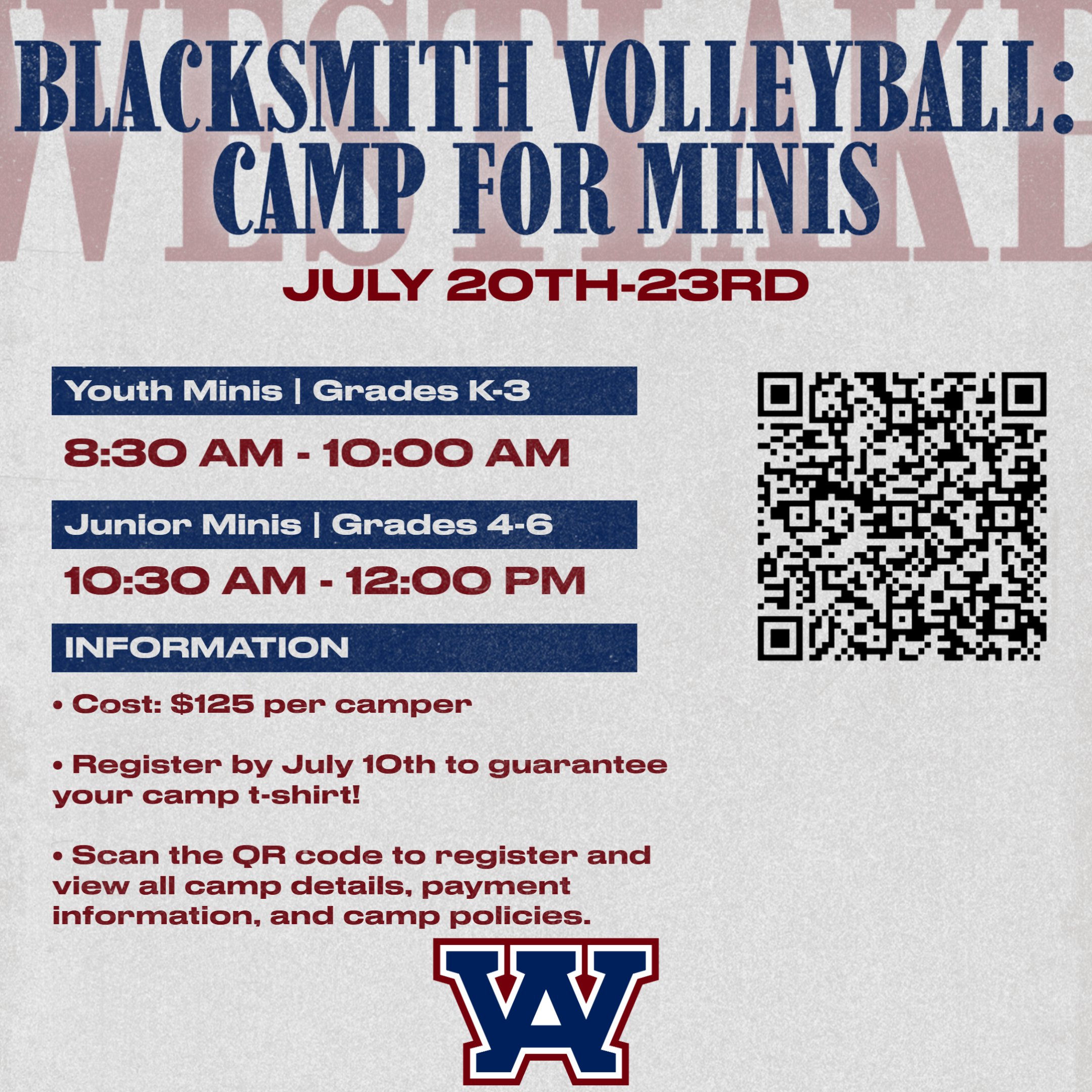 Blacksmith Summer Volleyball Camp for Minis