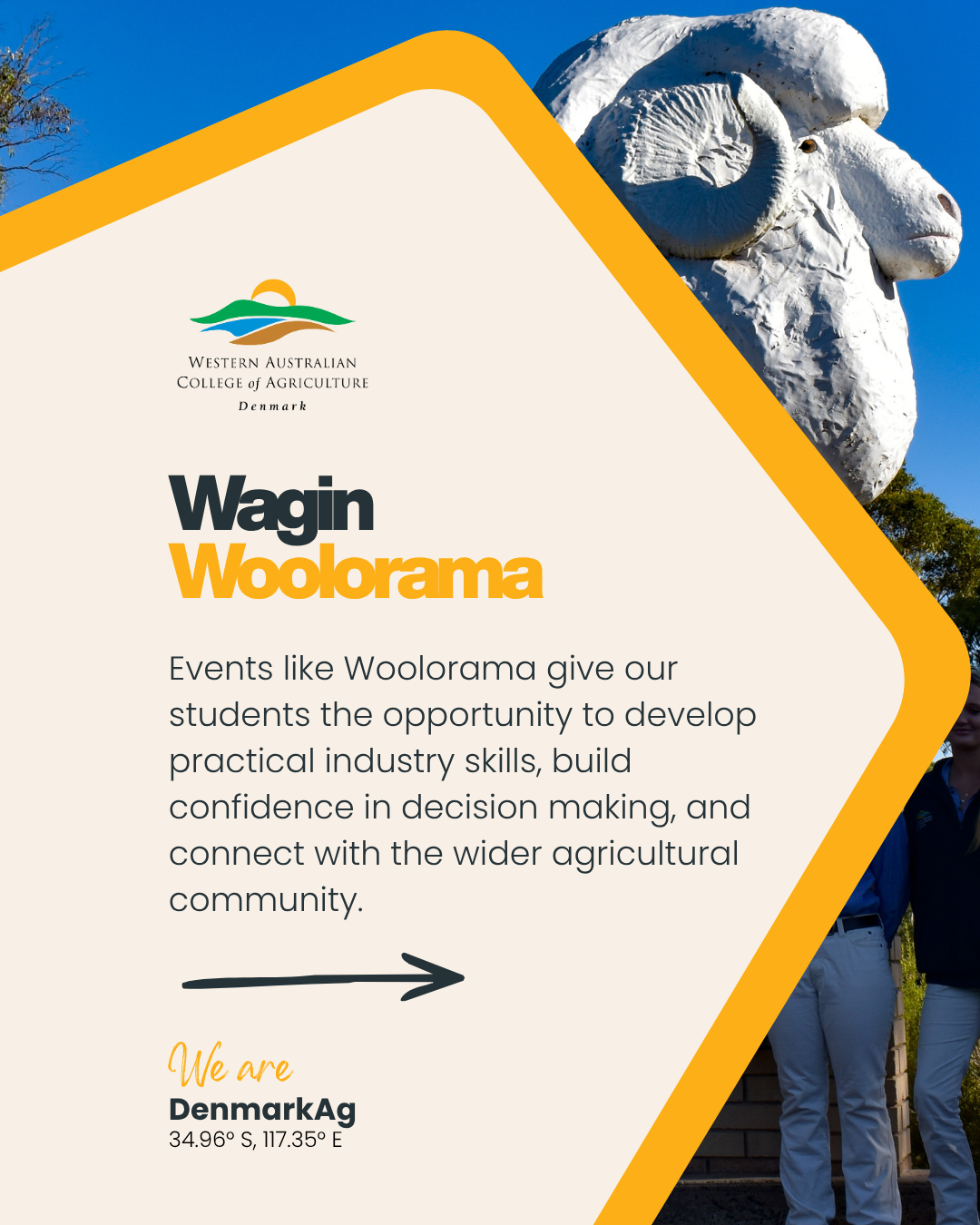 Wagin Woolorama.png