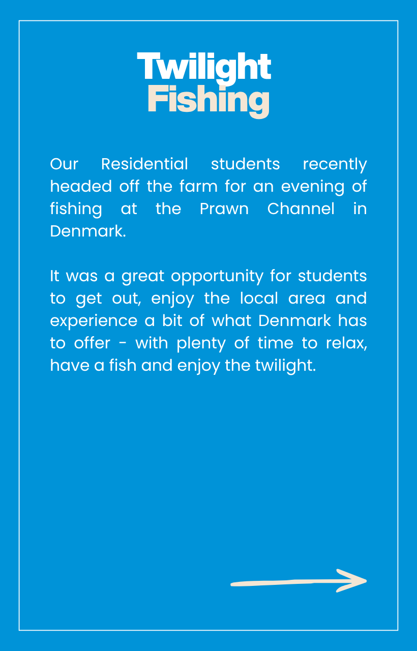 Photo InfoGraphics - Newsletter (2).png