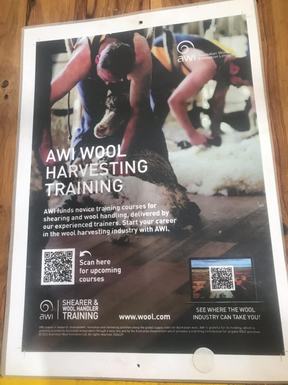 One of our Year 10 students said it best, &lsquo;Today was the best day ever!&rsquo; 

Industry Adventure students had an intimate experience with Kevin and Amanda from AWI. Their demonstration for crutching, wool classing and shearing shed safety wa