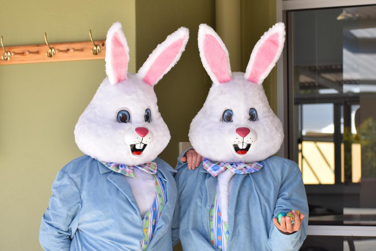 What a way to wrap up the end of Term 1! A big thank you to our Hive bunnies 🐰 for all of the Easter eggs, our students had a great time trying to collect them all before they melted on this warm day🌞
Happy Easter and happy holidays to everyone, ke