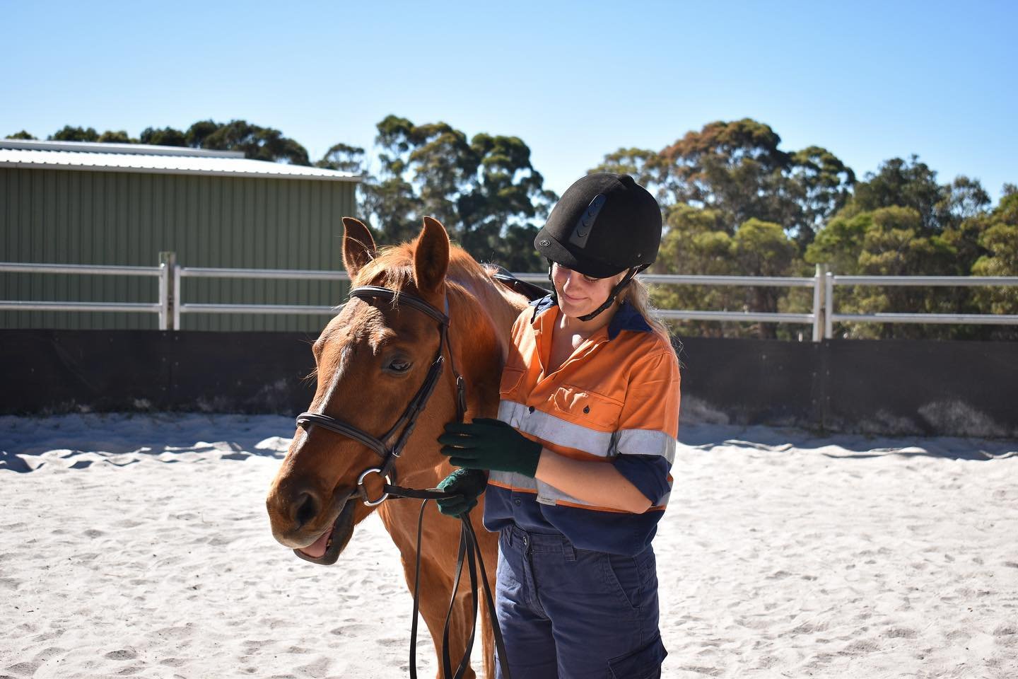 Timby and Coco working on their canter with our Year 11 students down at the Equine arena.
.
.
.
.
.
.
.
#horsepower #horse #horseriding #wacoa_denmark #denmarkwa #wacollegeofagriculturedenmark #educationwa #horselove #farmlife #studentlife #equine