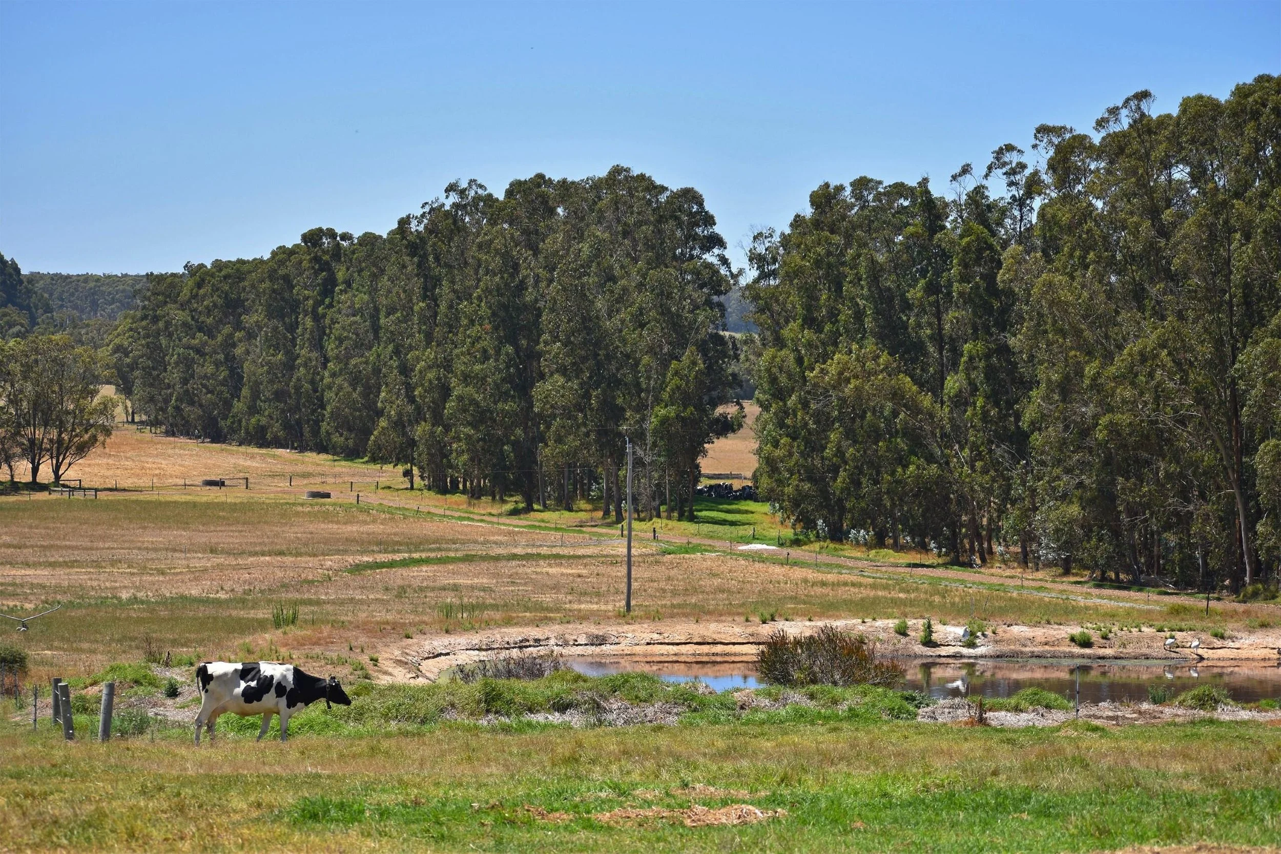 Issue 4 2024 - Manager Corporate Services