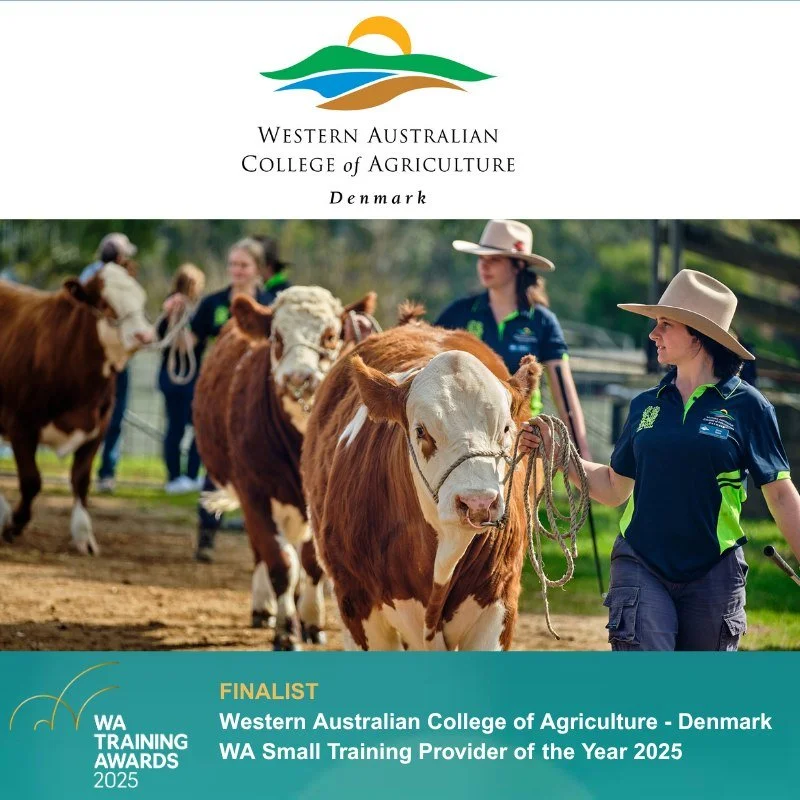 WACOA Denmark named a finalist in WA&rsquo;s Small Training Provider of the Year!

We&rsquo;re proud to share that the Western Australian College of Agriculture &ndash; Denmark was named a finalist for the 2025 Western Australian Small Training Provi