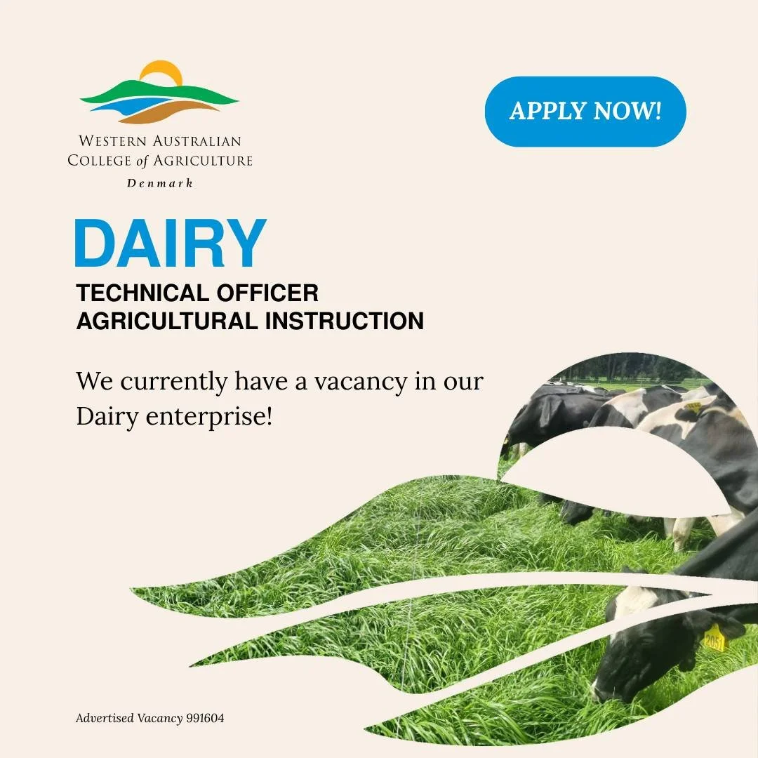 WE'RE HIRING! Don't miss out on this opportunity to shape the future of our rising agricultural professionals in our Commercial Dairy. Make a difference and apply today!
.
https://search.jobs.wa.gov.au/page.php?pageID=160&amp;windowUID=0&amp;AdvertID